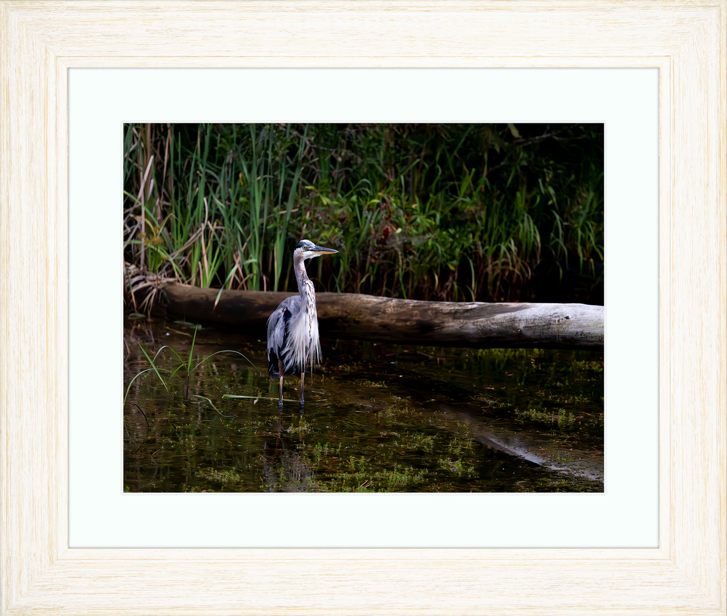 Short Stuff (Landscape) -- Digital Print