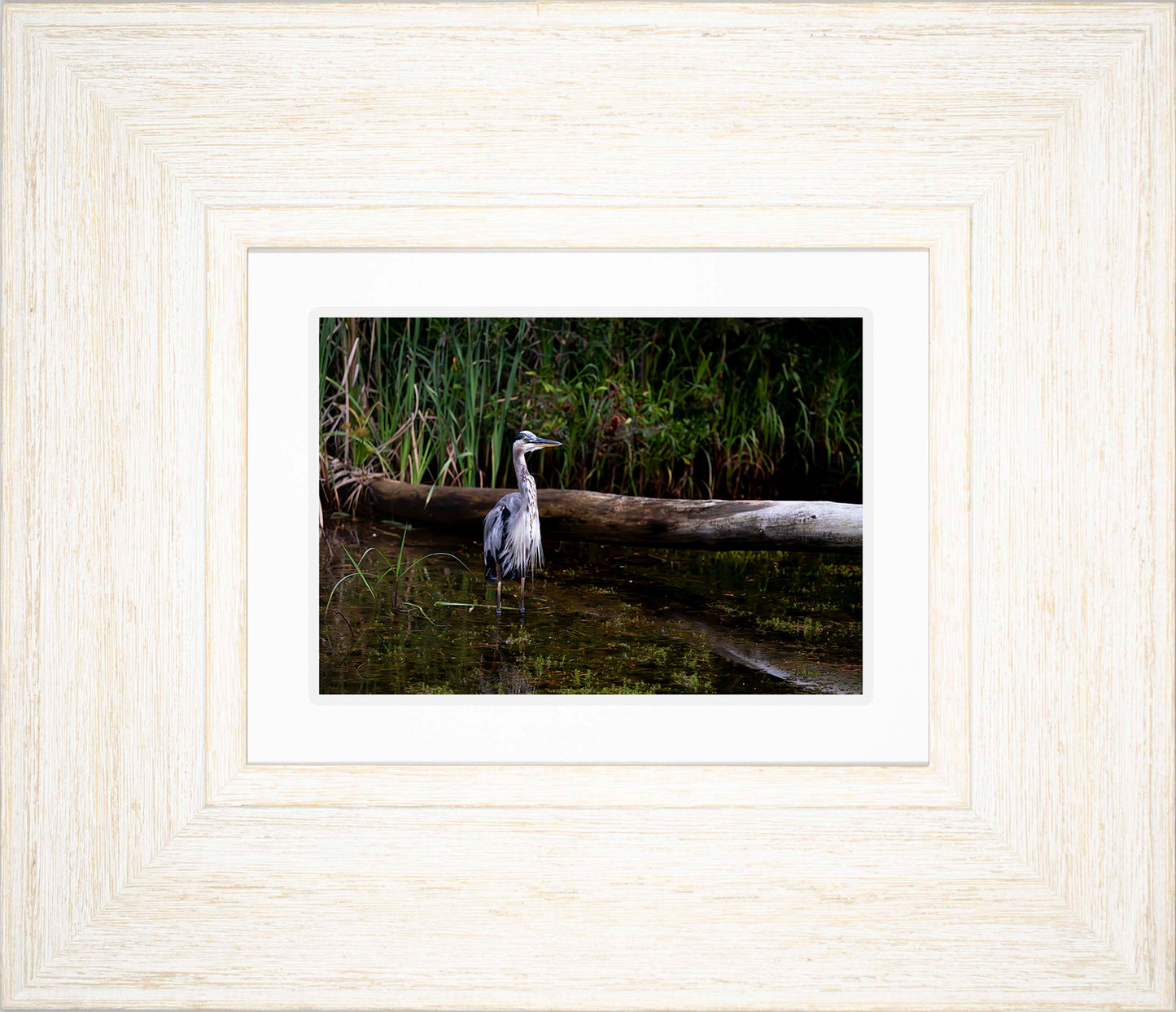 Short Stuff (Landscape) -- Digital Print