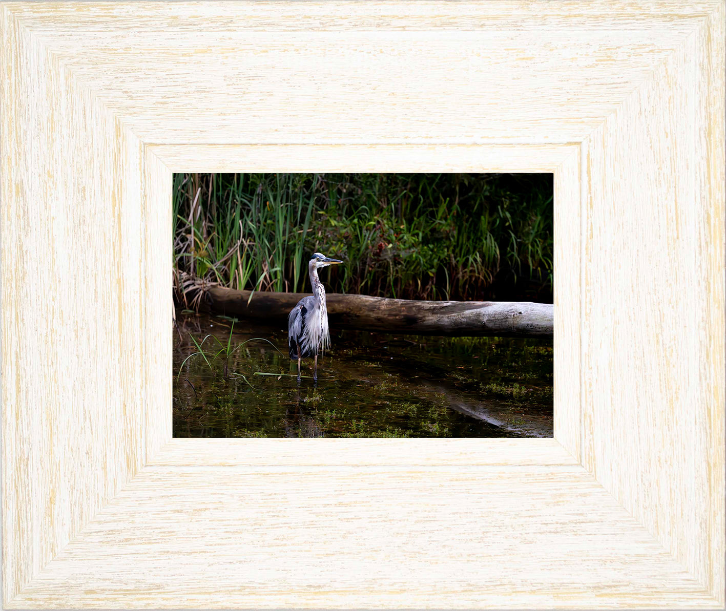 Short Stuff (Landscape) -- Digital Print