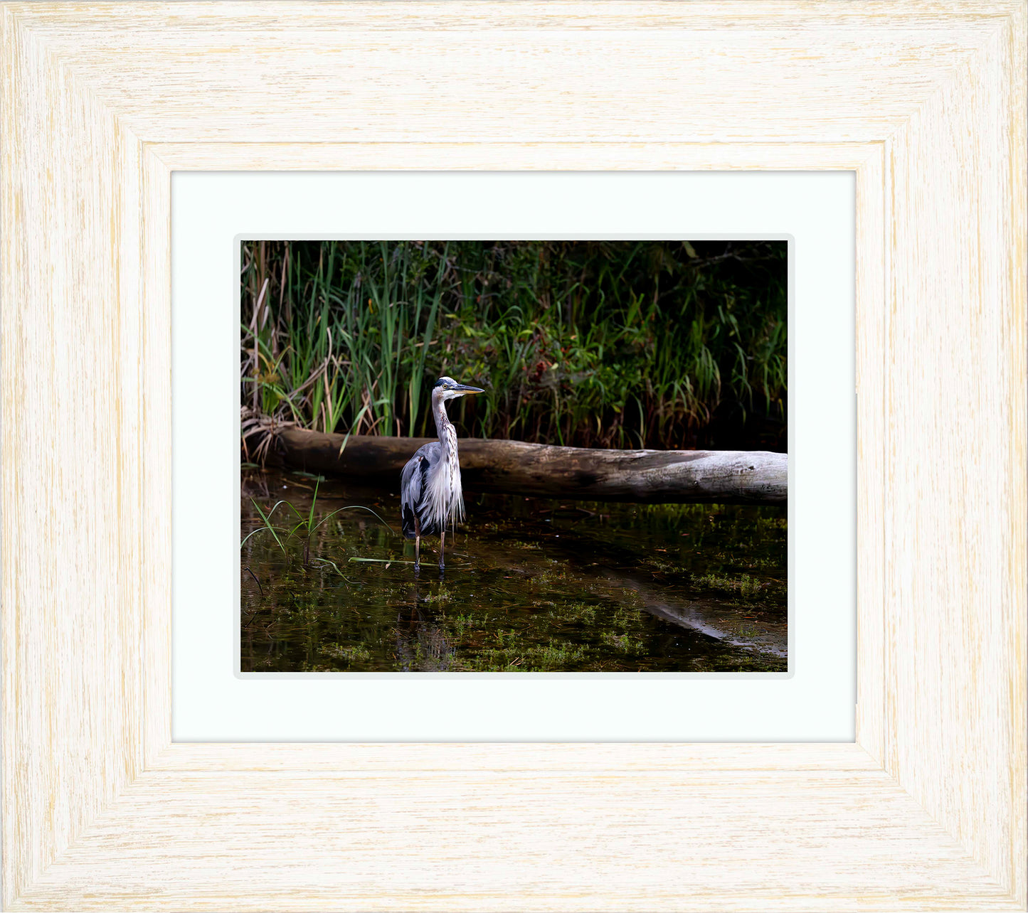 Short Stuff (Landscape) -- Digital Print