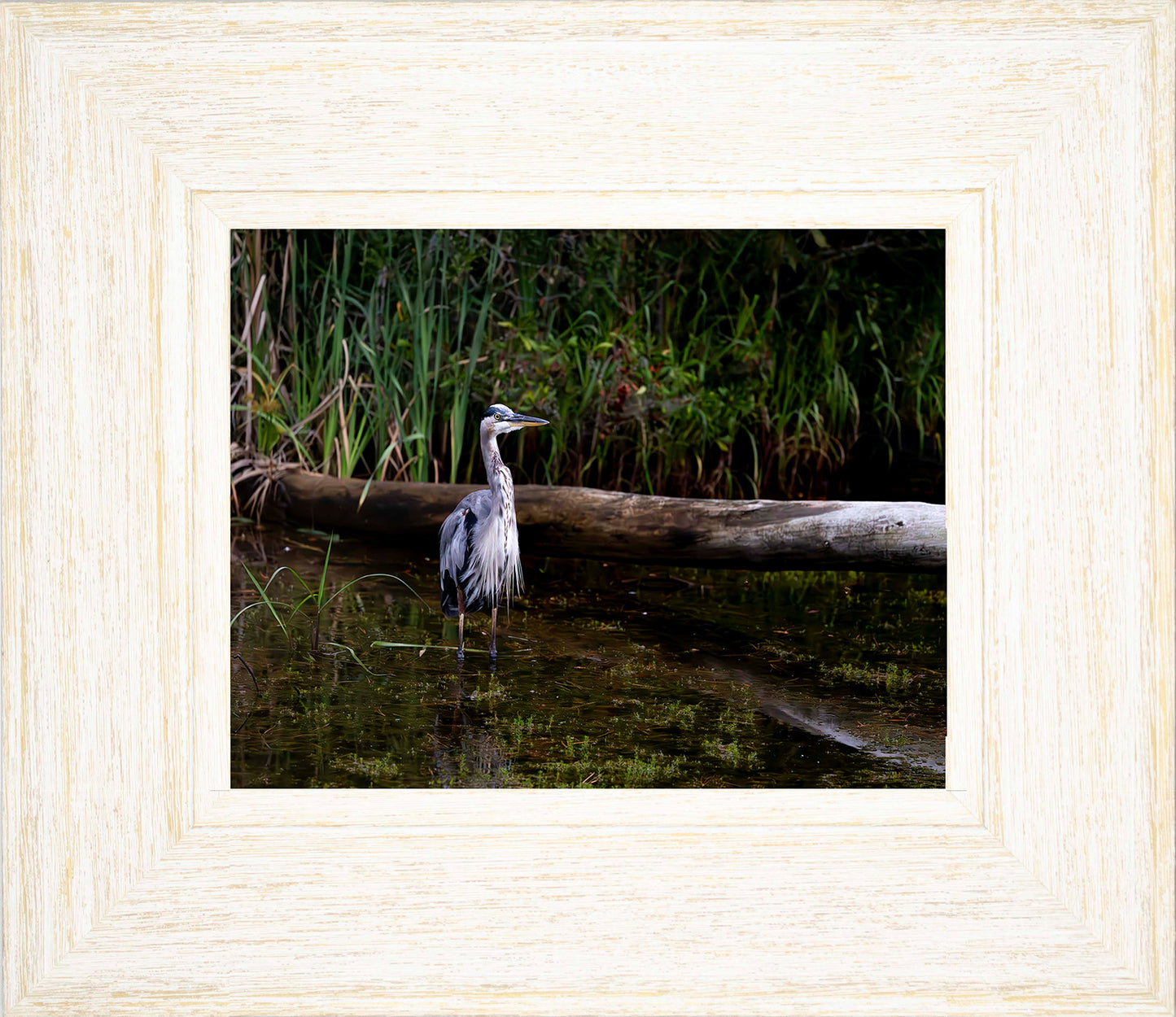 Short Stuff (Landscape) -- Digital Print