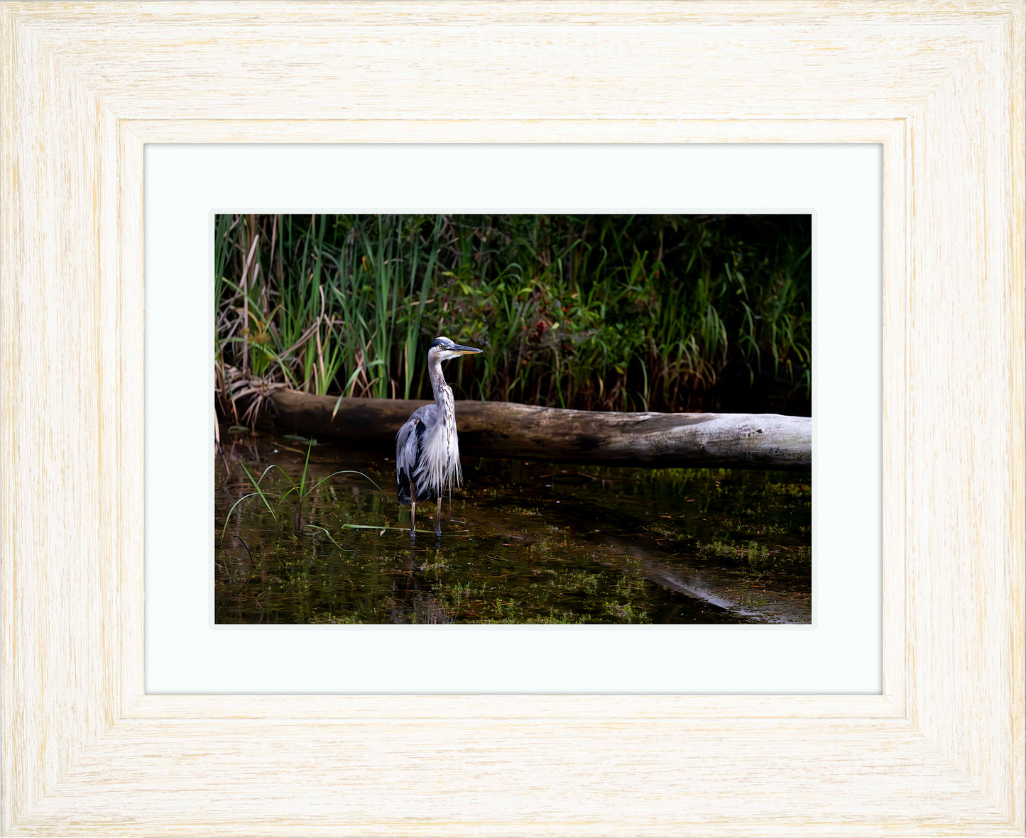 Short Stuff (Landscape) -- Digital Print