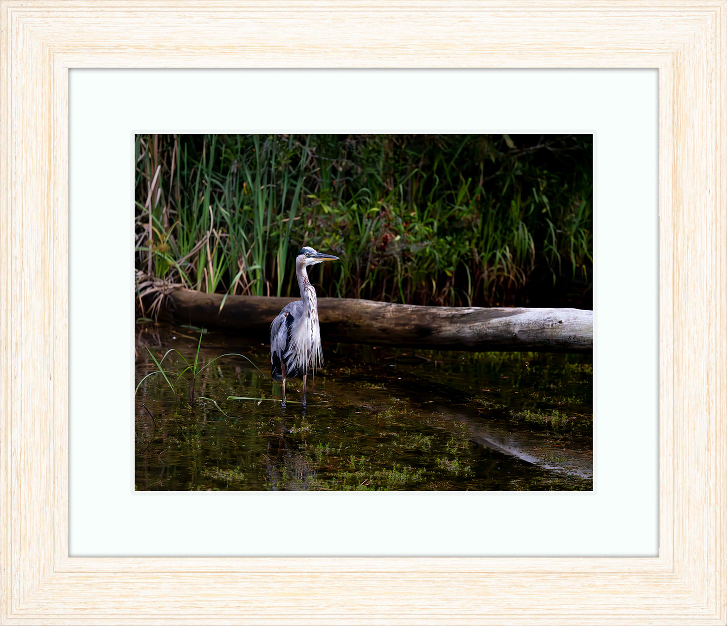 Short Stuff (Landscape) -- Digital Print