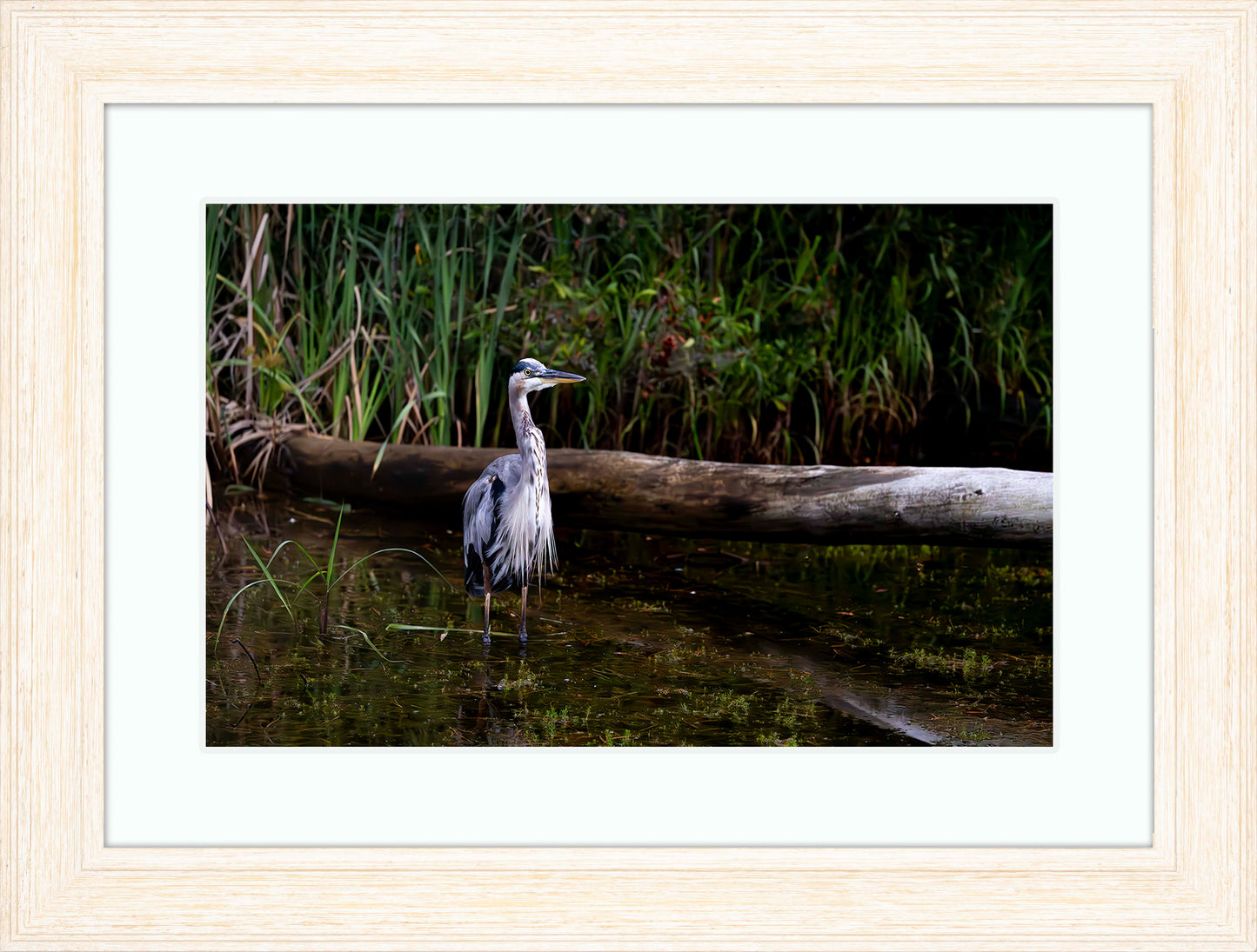 Short Stuff (Landscape) -- Digital Print