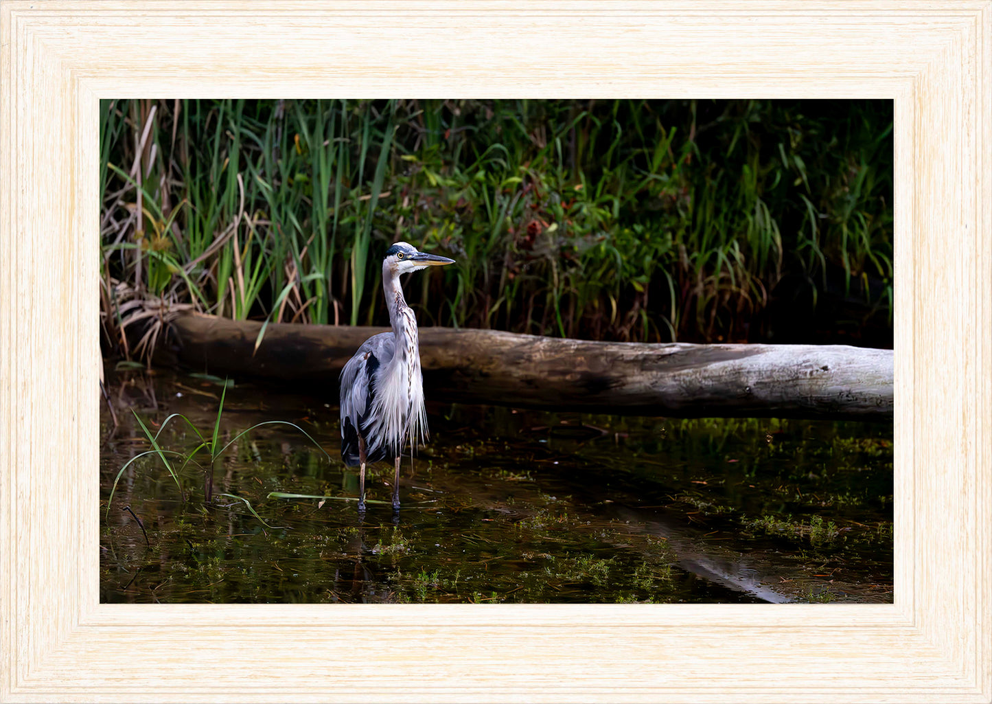 Short Stuff (Landscape) -- Digital Print