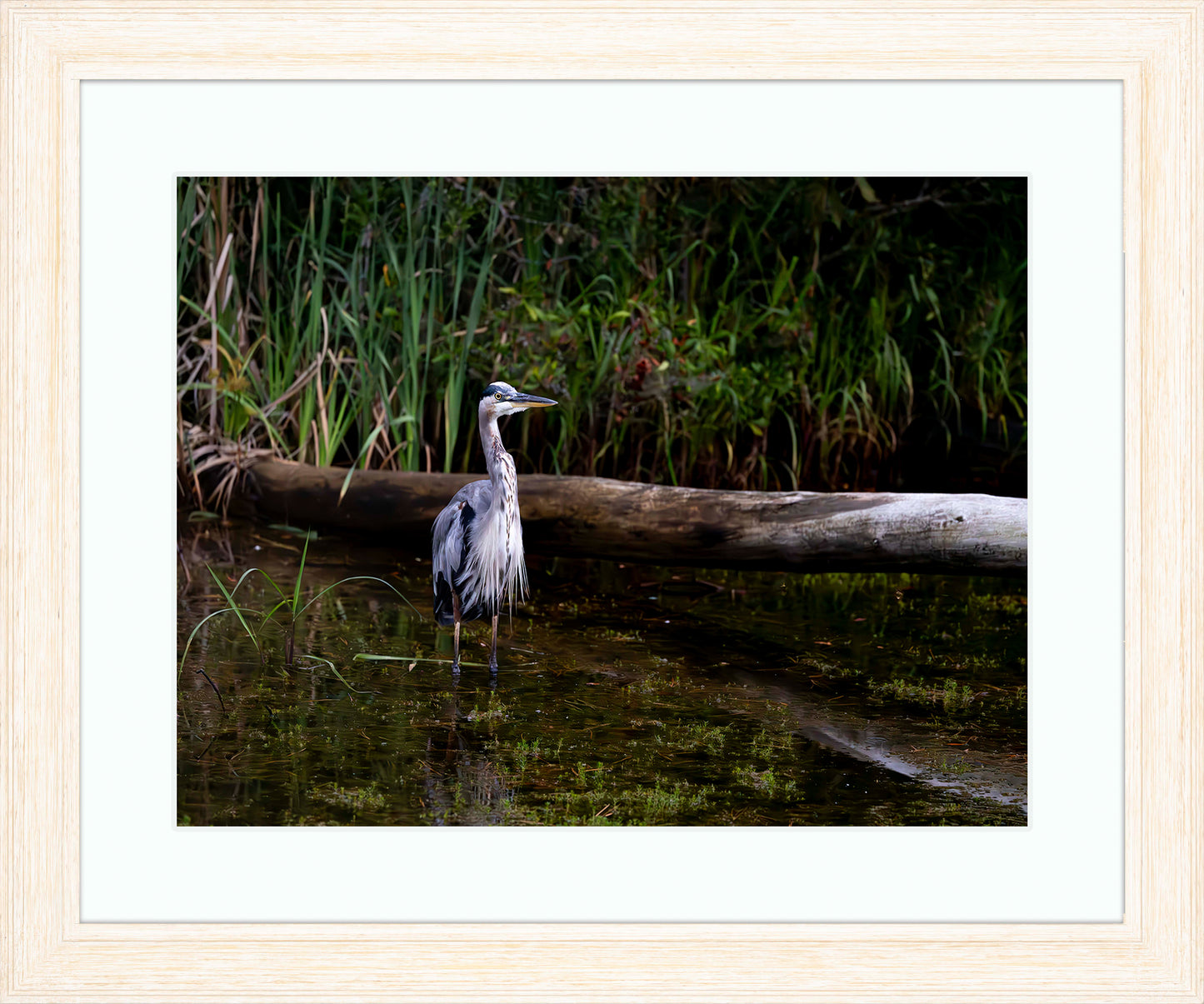 Short Stuff (Landscape) -- Digital Print