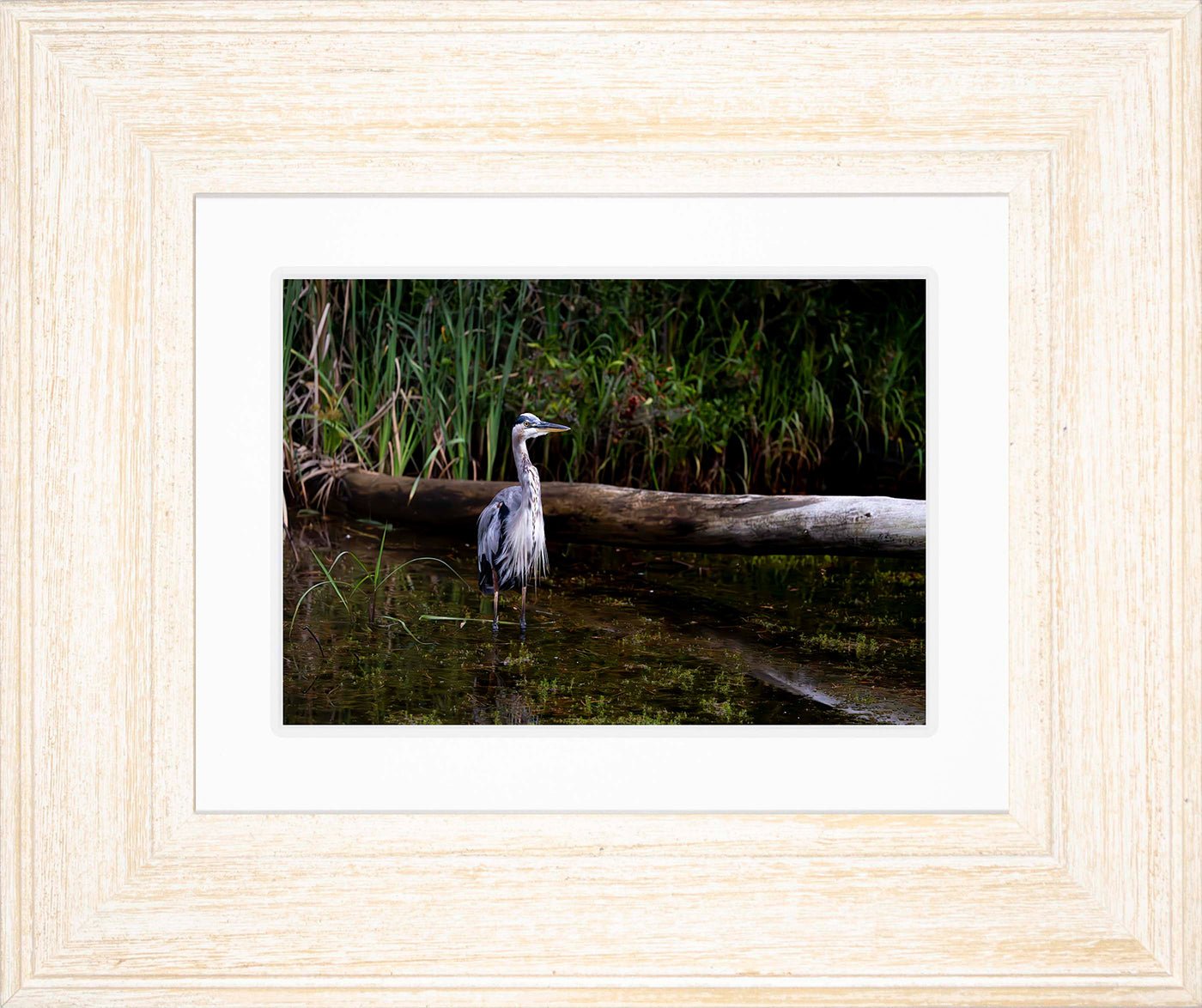 Short Stuff (Landscape) -- Digital Print