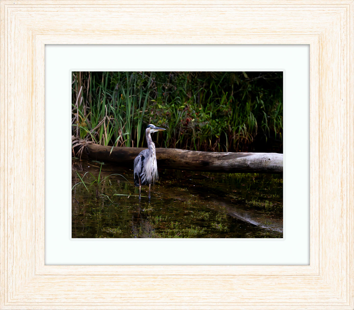 Short Stuff (Landscape) -- Digital Print