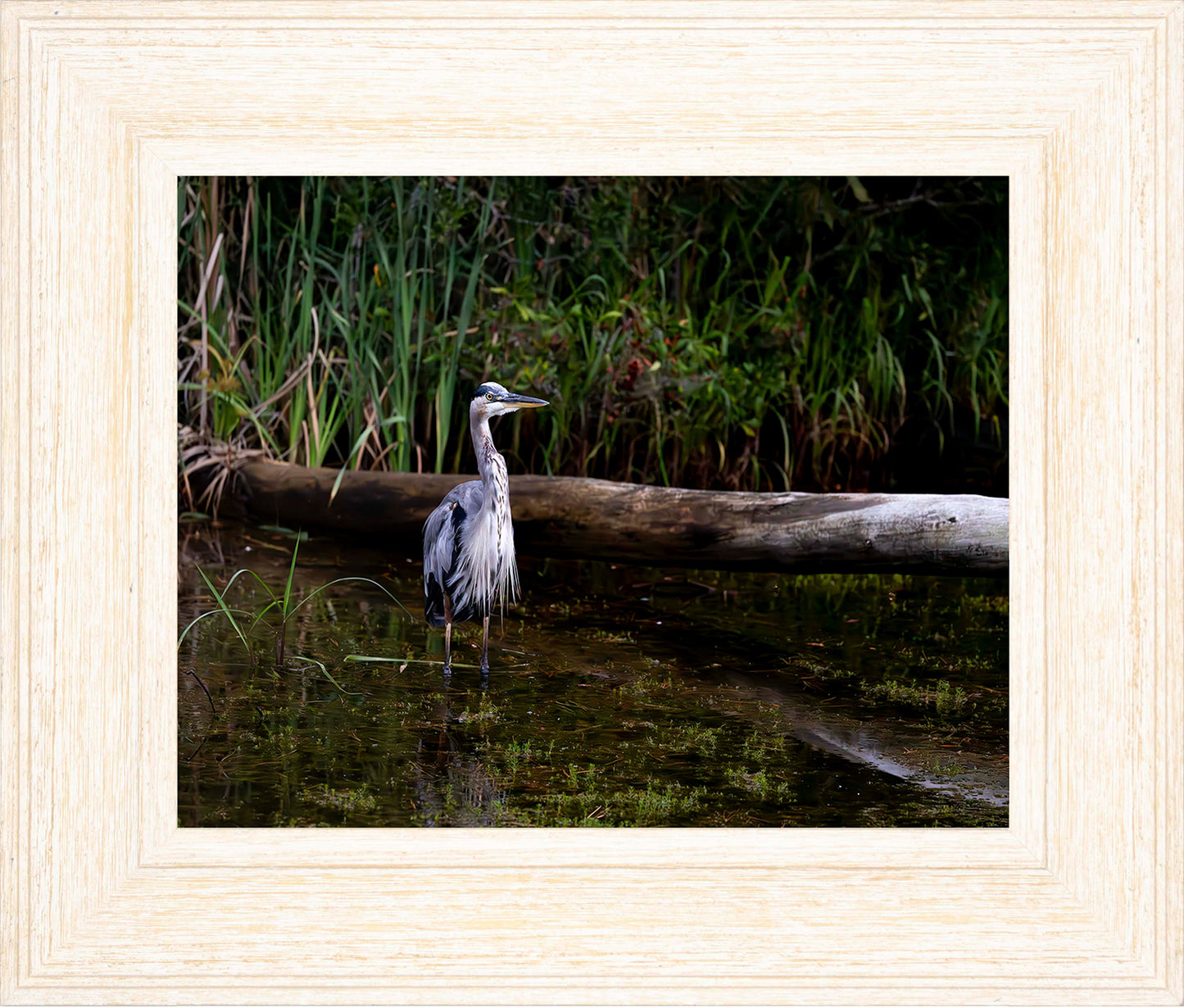 Short Stuff (Landscape) -- Digital Print