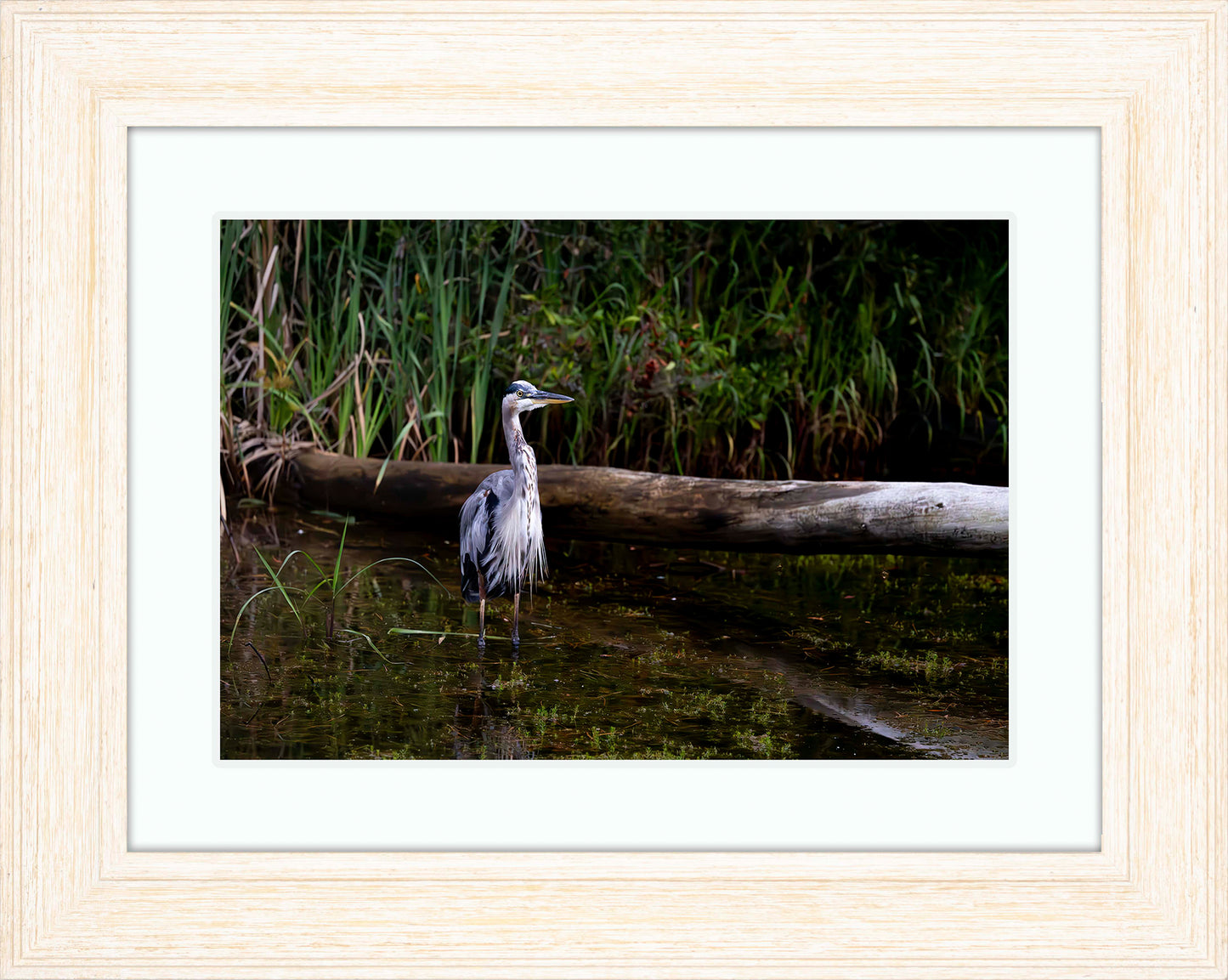 Short Stuff (Landscape) -- Digital Print