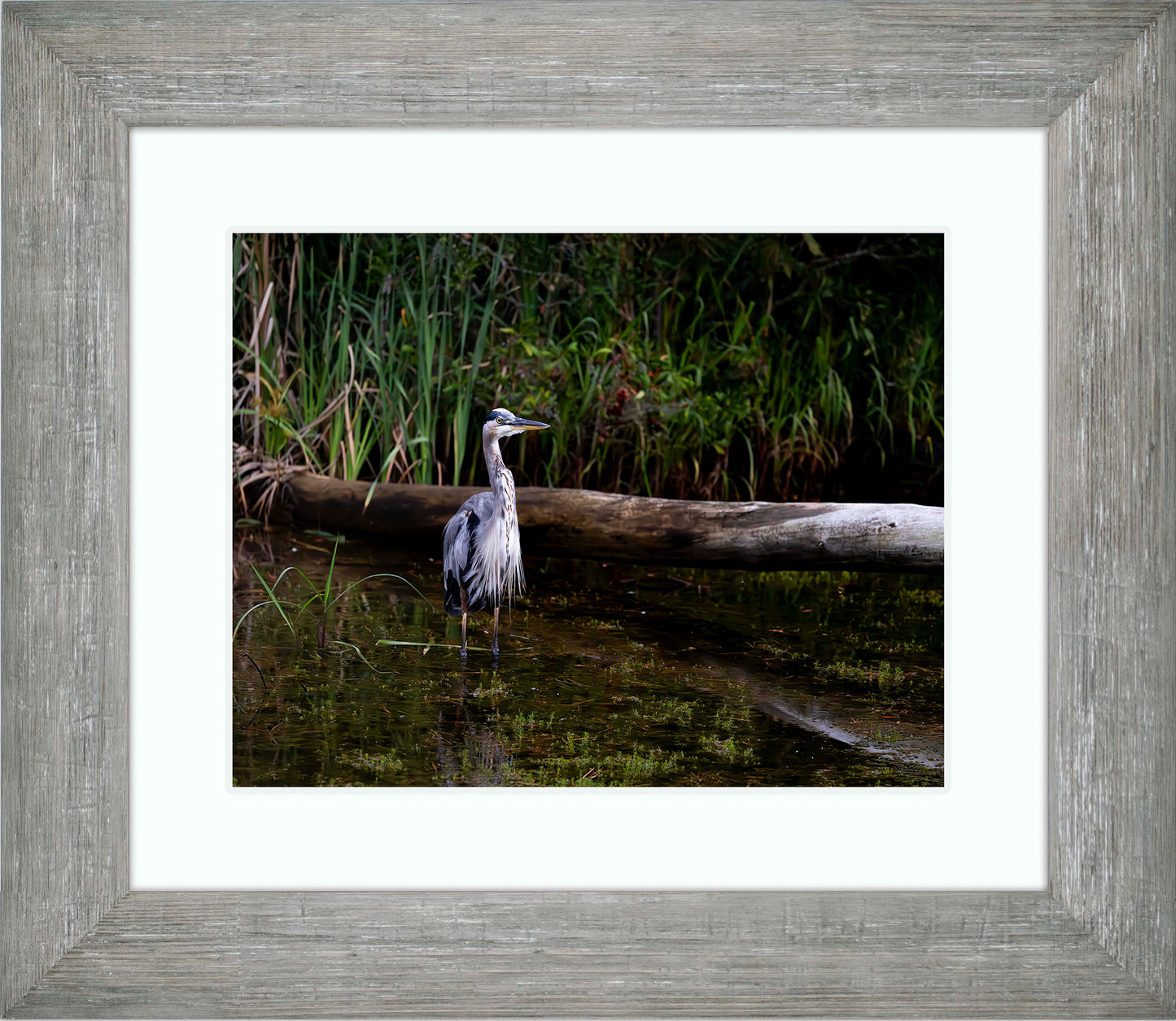 Short Stuff (Landscape) -- Digital Print