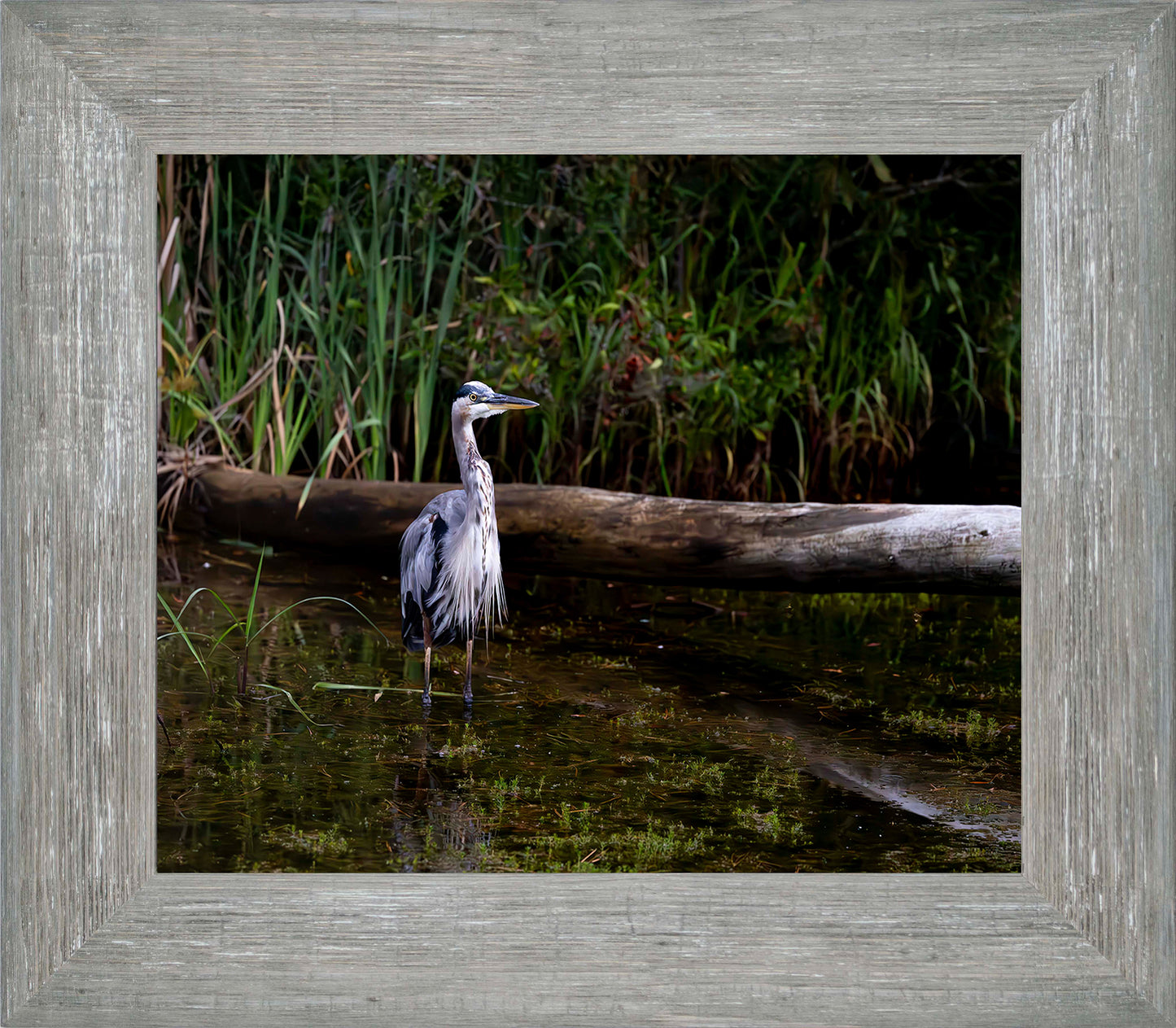 Short Stuff (Landscape) -- Digital Print