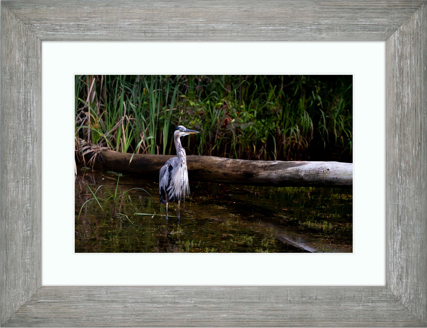 Short Stuff (Landscape) -- Digital Print