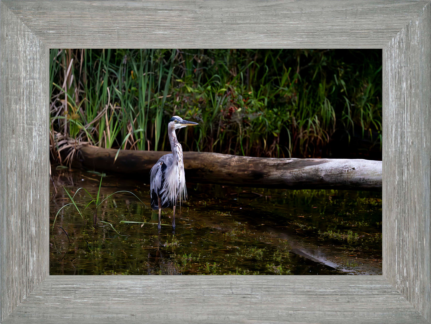 Short Stuff (Landscape) -- Digital Print