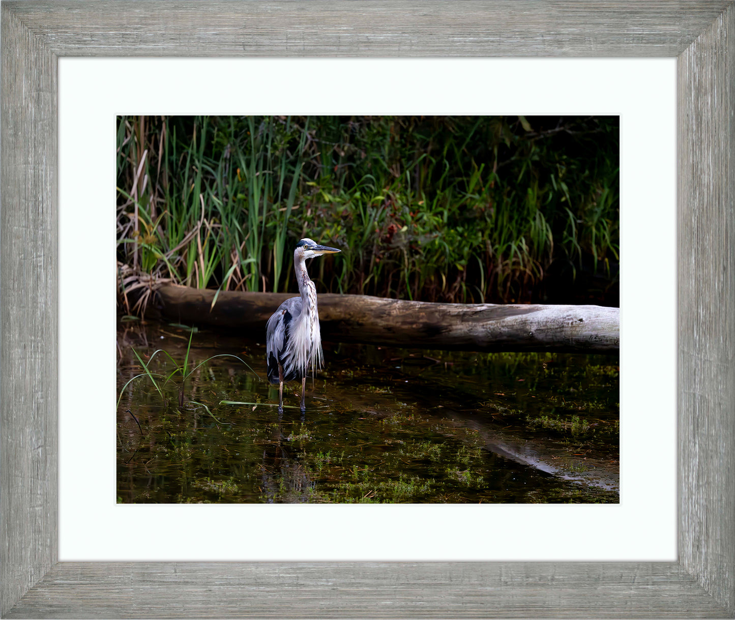 Short Stuff (Landscape) -- Digital Print