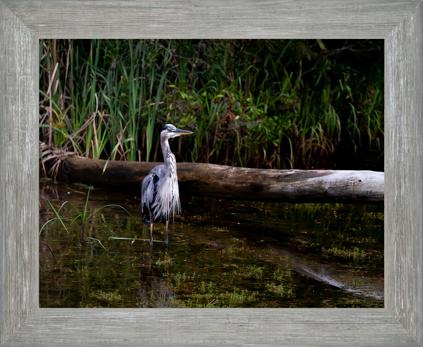 Short Stuff (Landscape) -- Digital Print