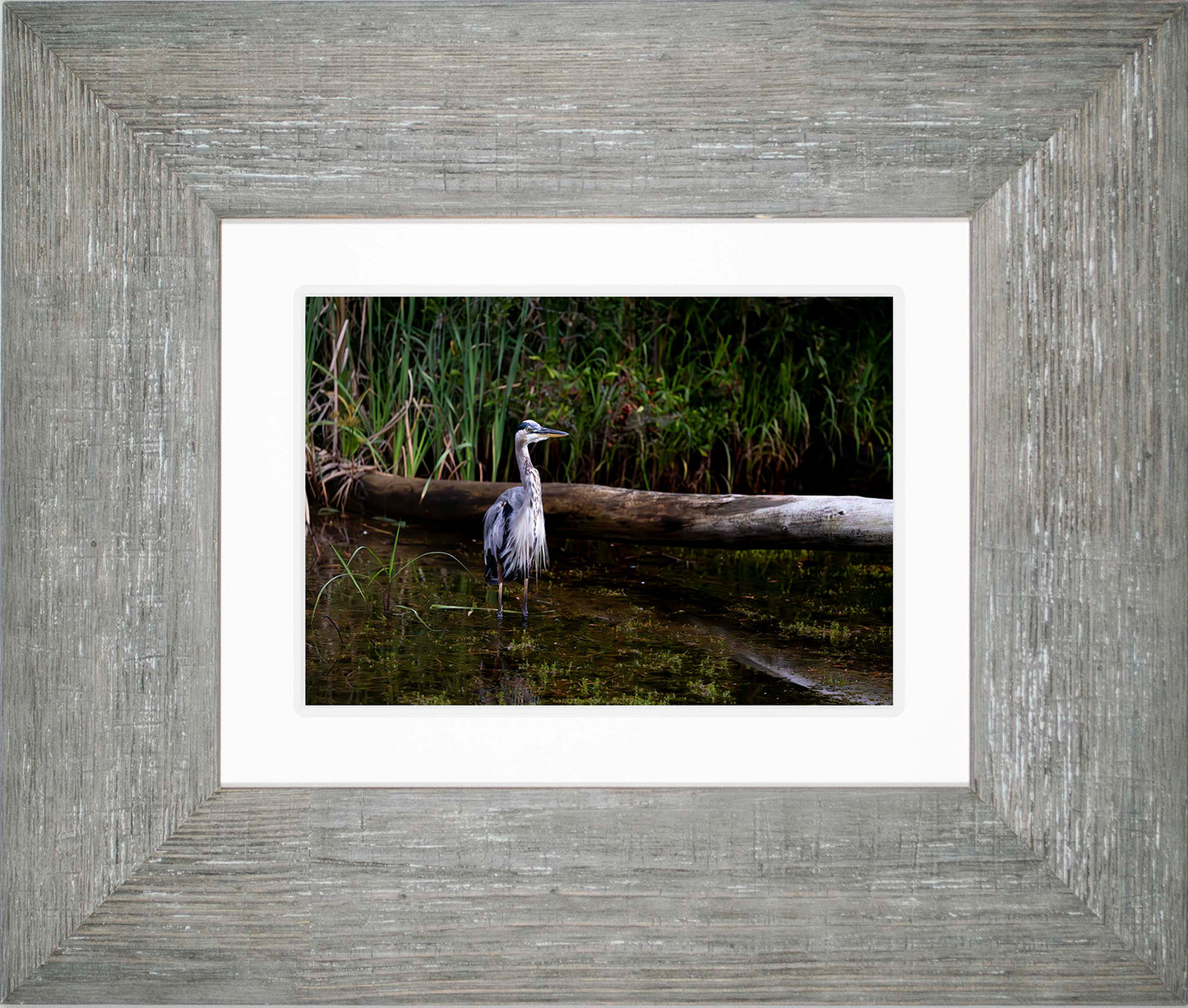 Short Stuff (Landscape) -- Digital Print