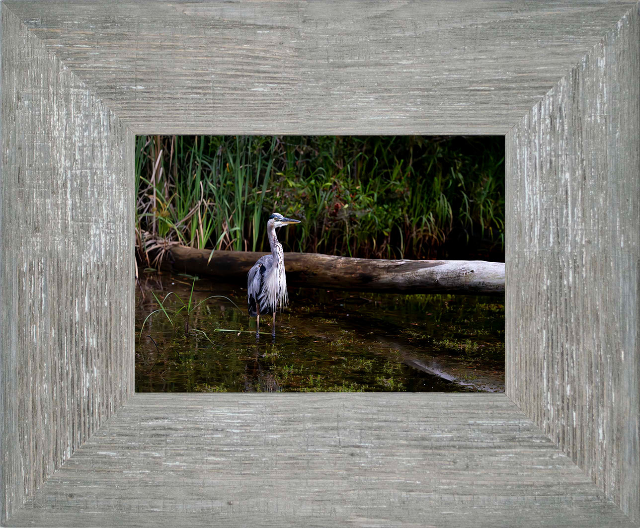 Short Stuff (Landscape) -- Digital Print