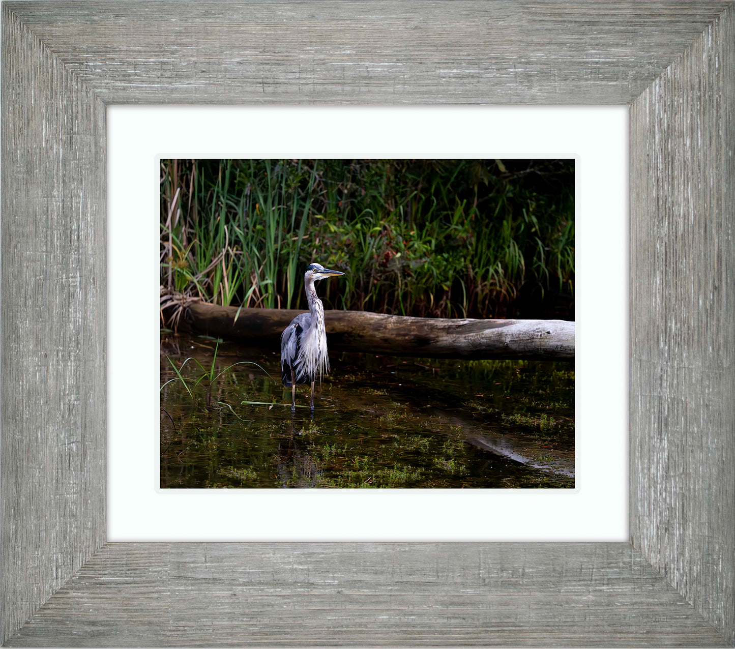 Short Stuff (Landscape) -- Digital Print