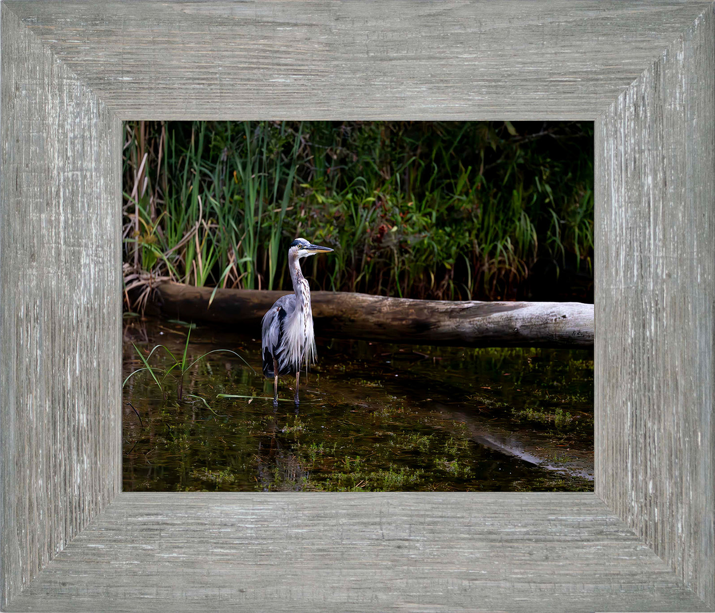 Short Stuff (Landscape) -- Digital Print