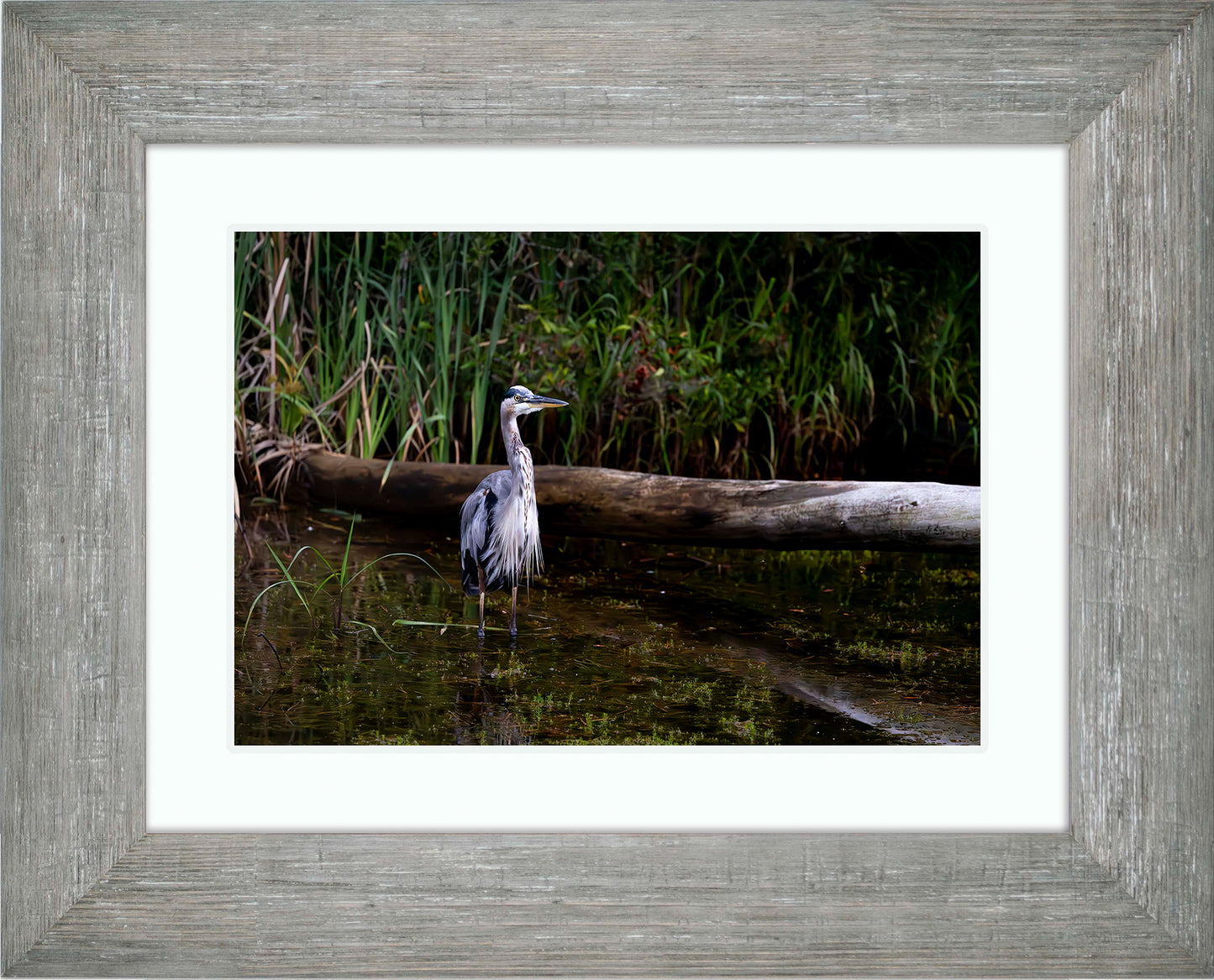 Short Stuff (Landscape) -- Digital Print