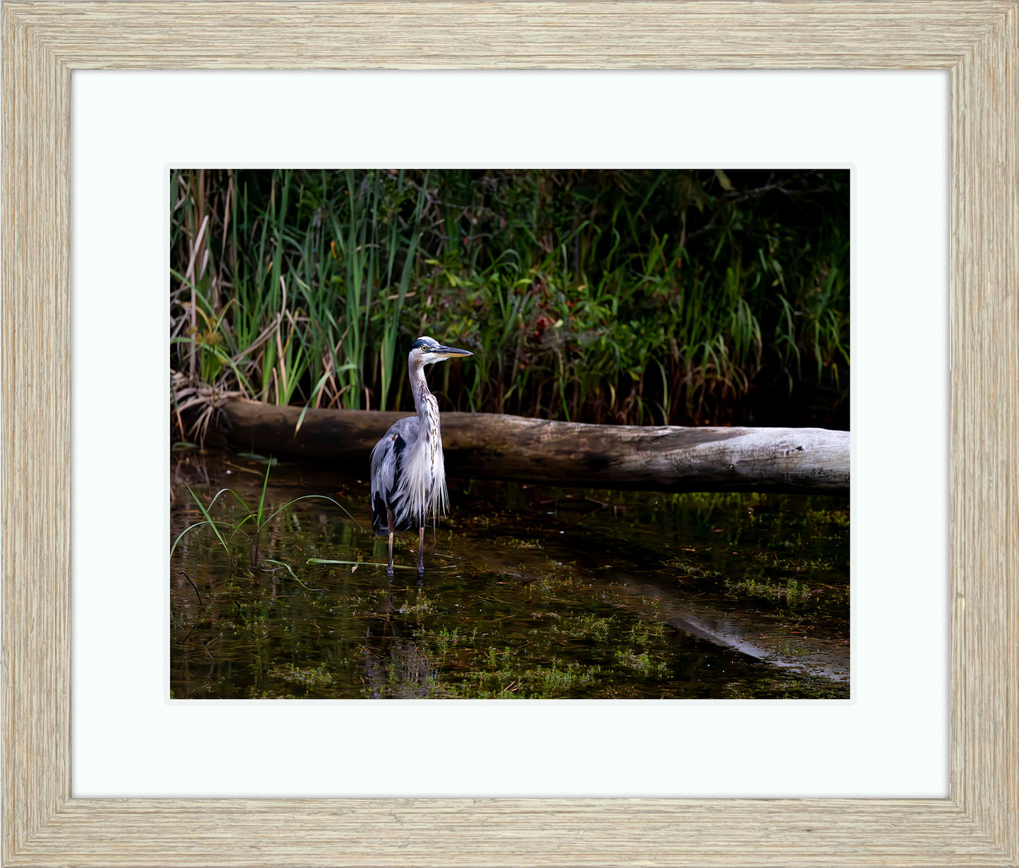 Short Stuff (Landscape) -- Digital Print