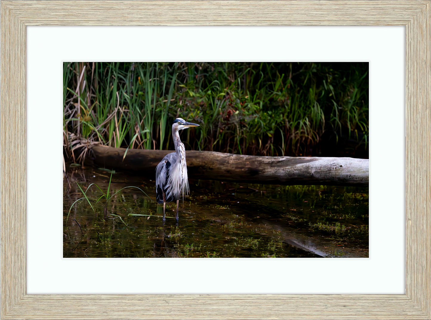 Short Stuff (Landscape) -- Digital Print