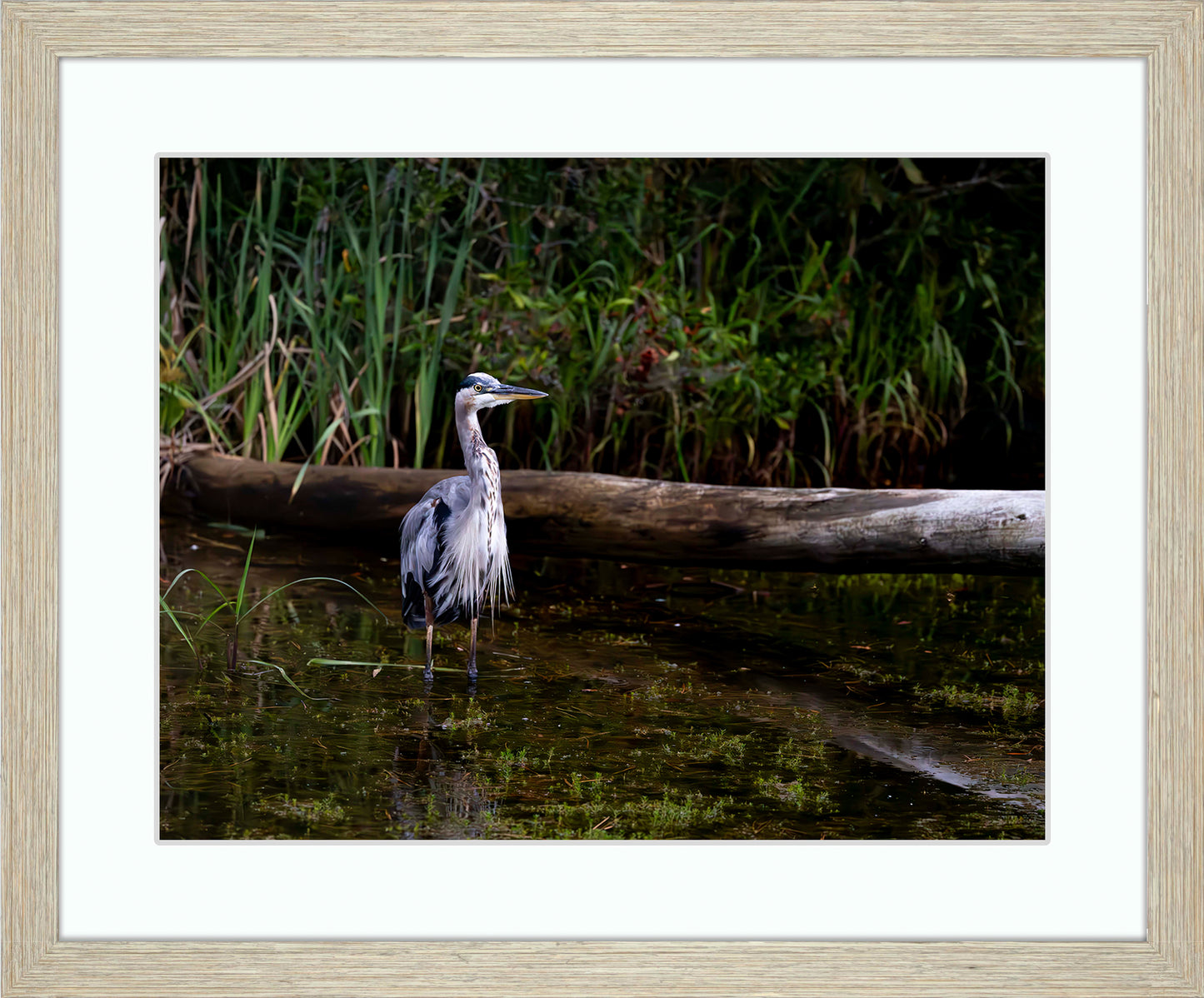 Short Stuff (Landscape) -- Digital Print