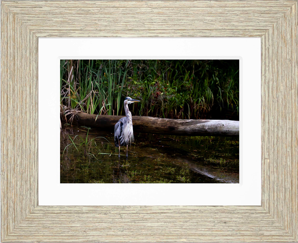 Short Stuff (Landscape) -- Digital Print