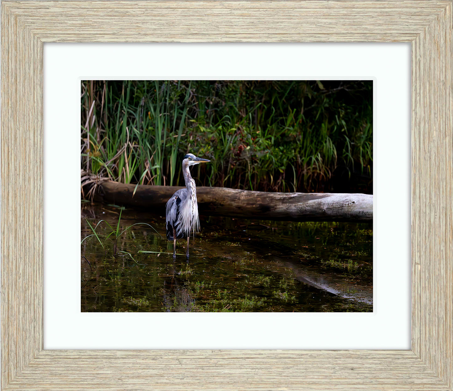 Short Stuff (Landscape) -- Digital Print