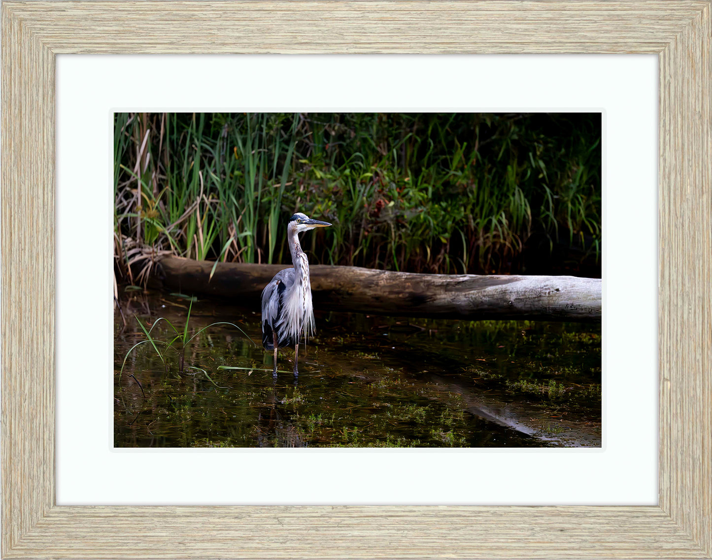 Short Stuff (Landscape) -- Digital Print