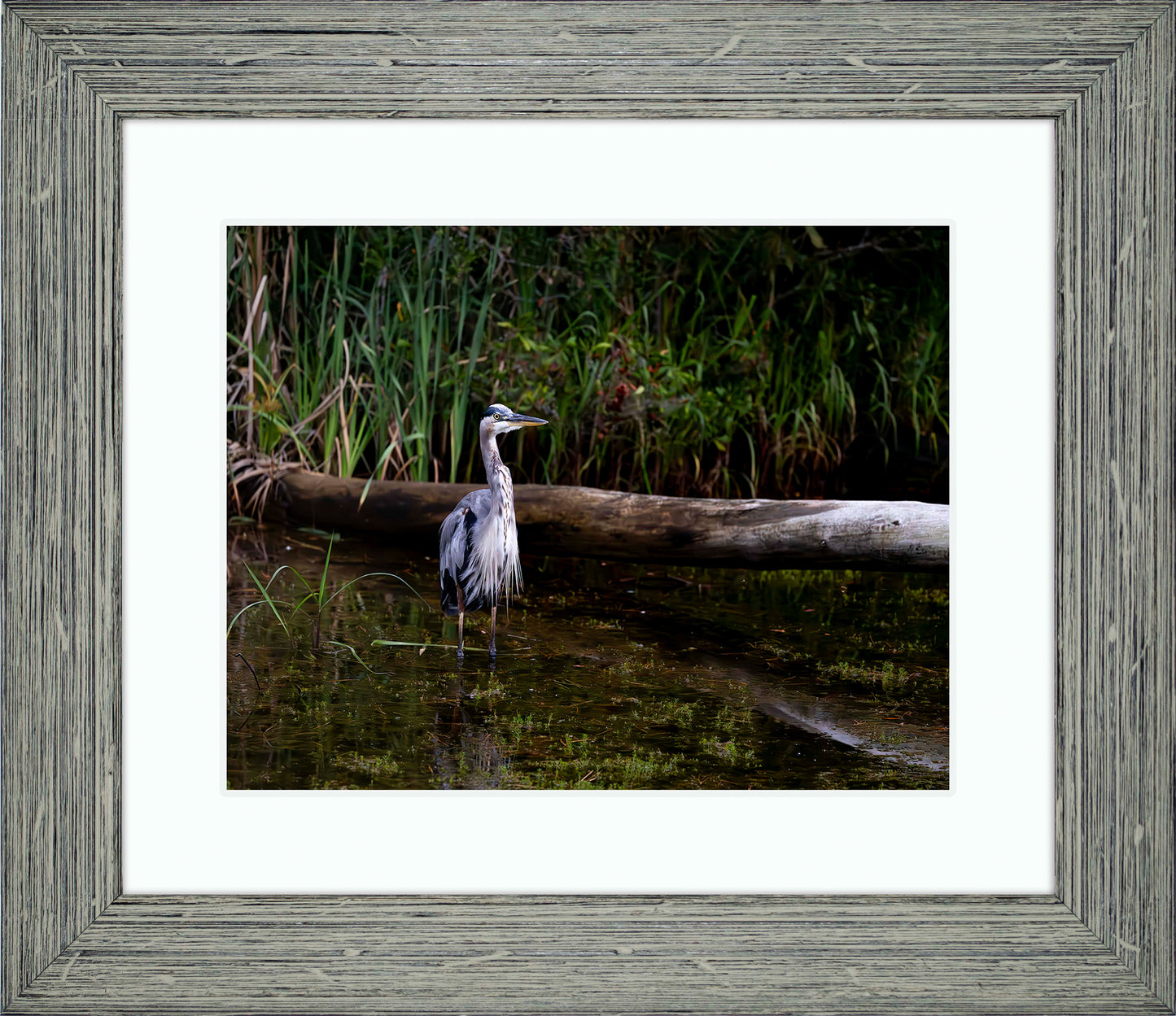 Short Stuff (Landscape) -- Digital Print