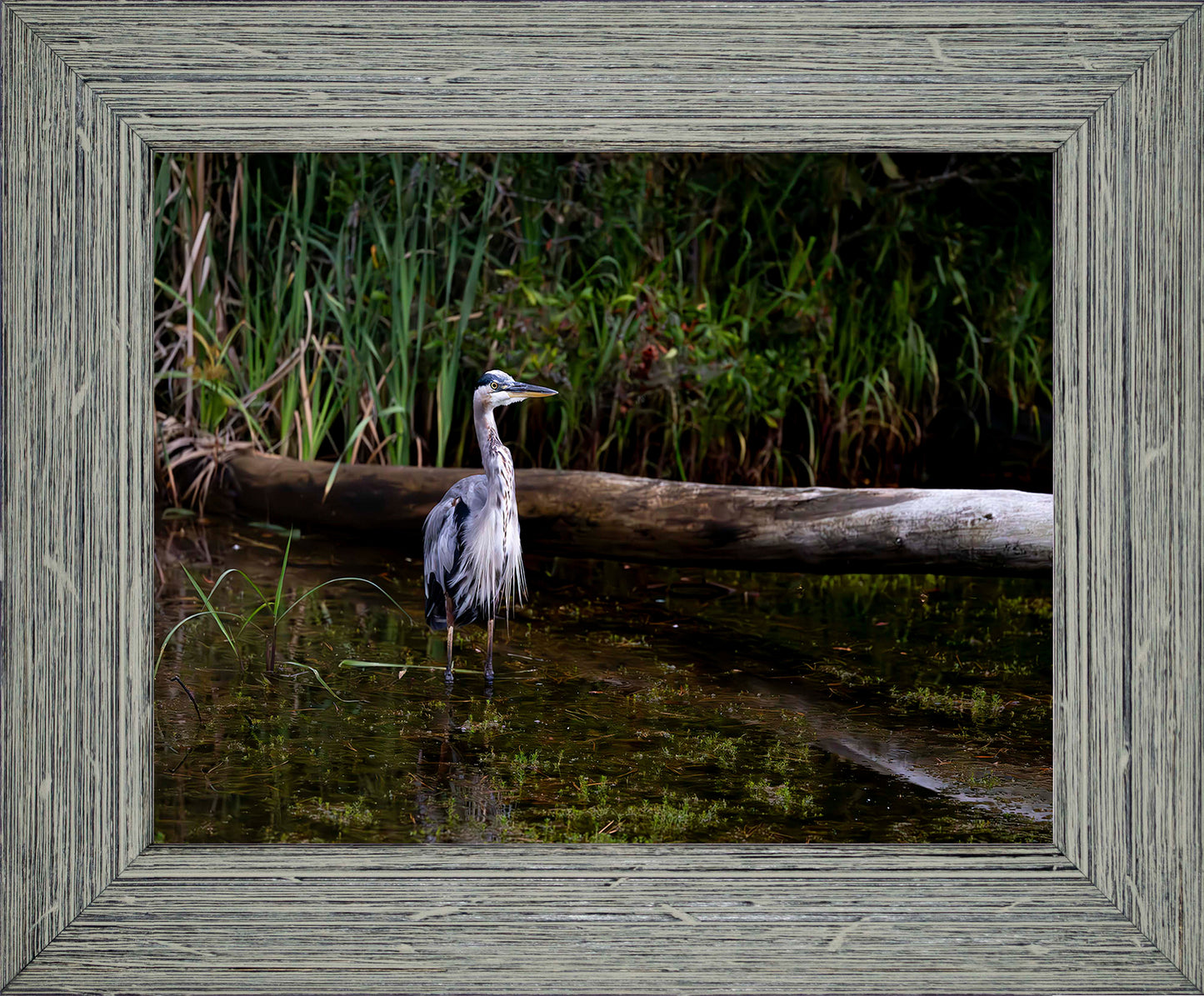 Short Stuff (Landscape) -- Digital Print