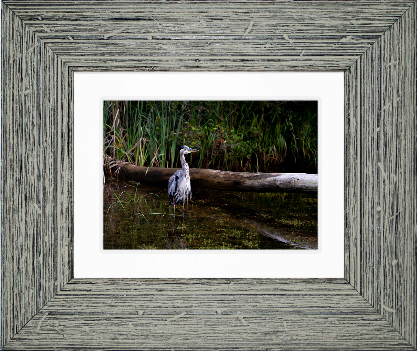 Short Stuff (Landscape) -- Digital Print