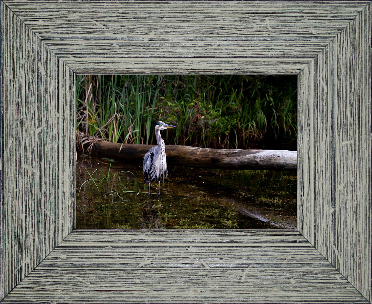 Short Stuff (Landscape) -- Digital Print