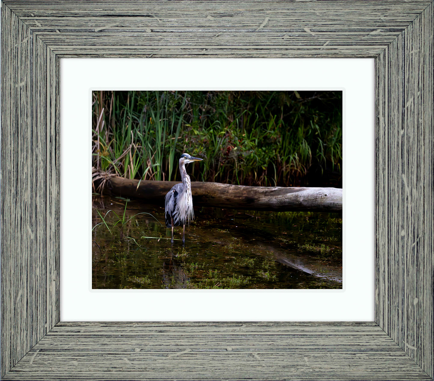 Short Stuff (Landscape) -- Digital Print