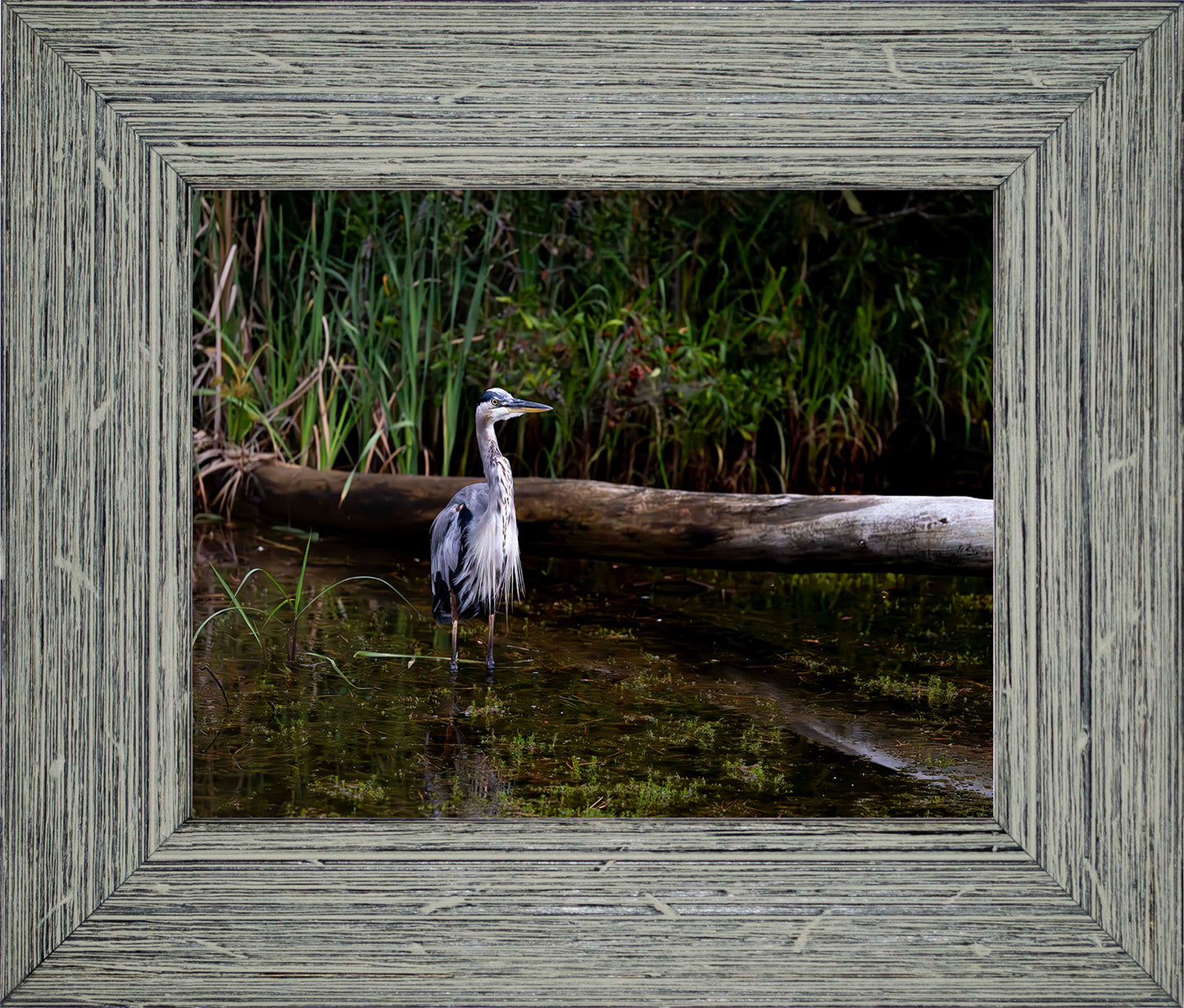 Short Stuff (Landscape) -- Digital Print