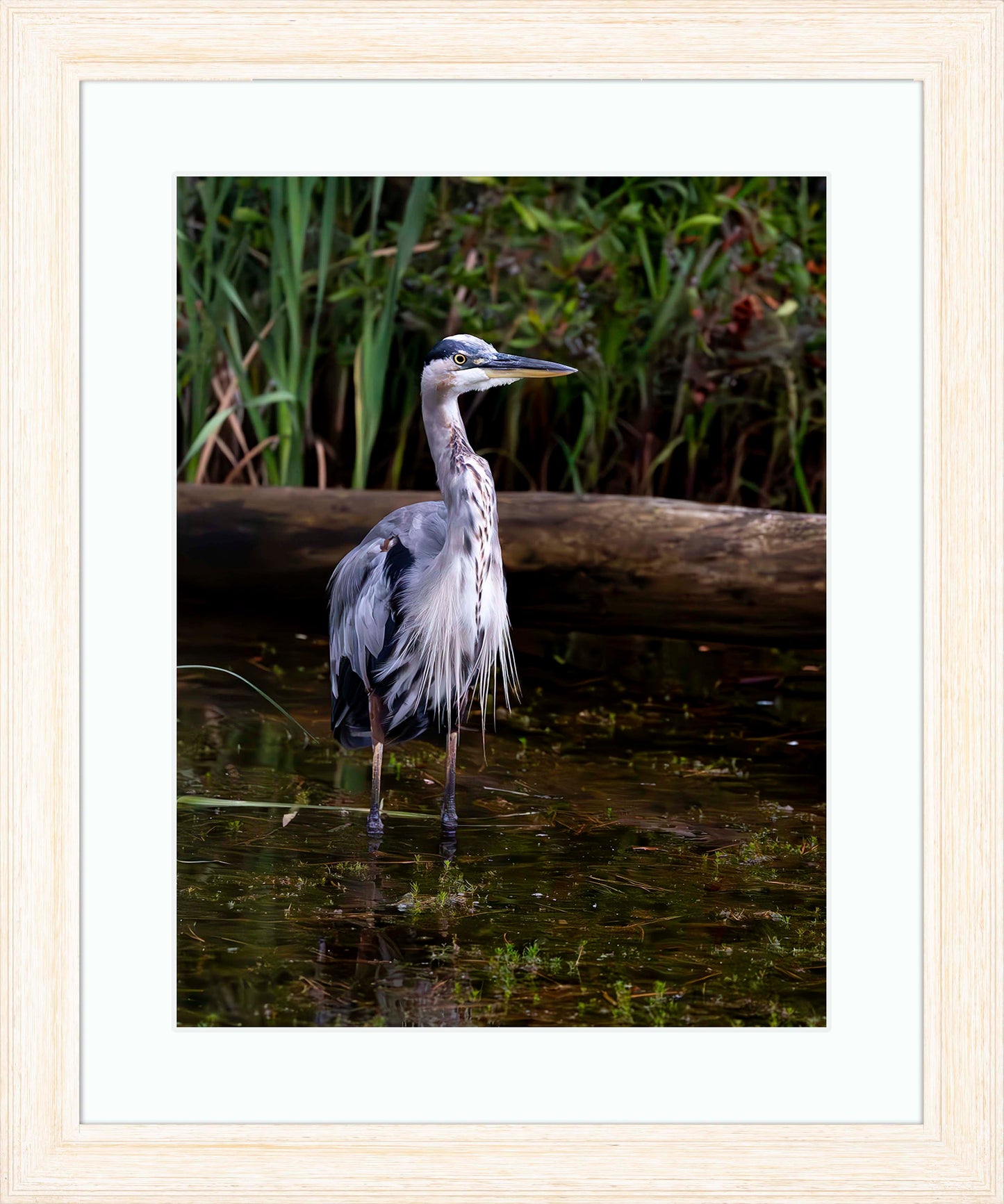 Short Stuff (Portrait) -- Digital Print