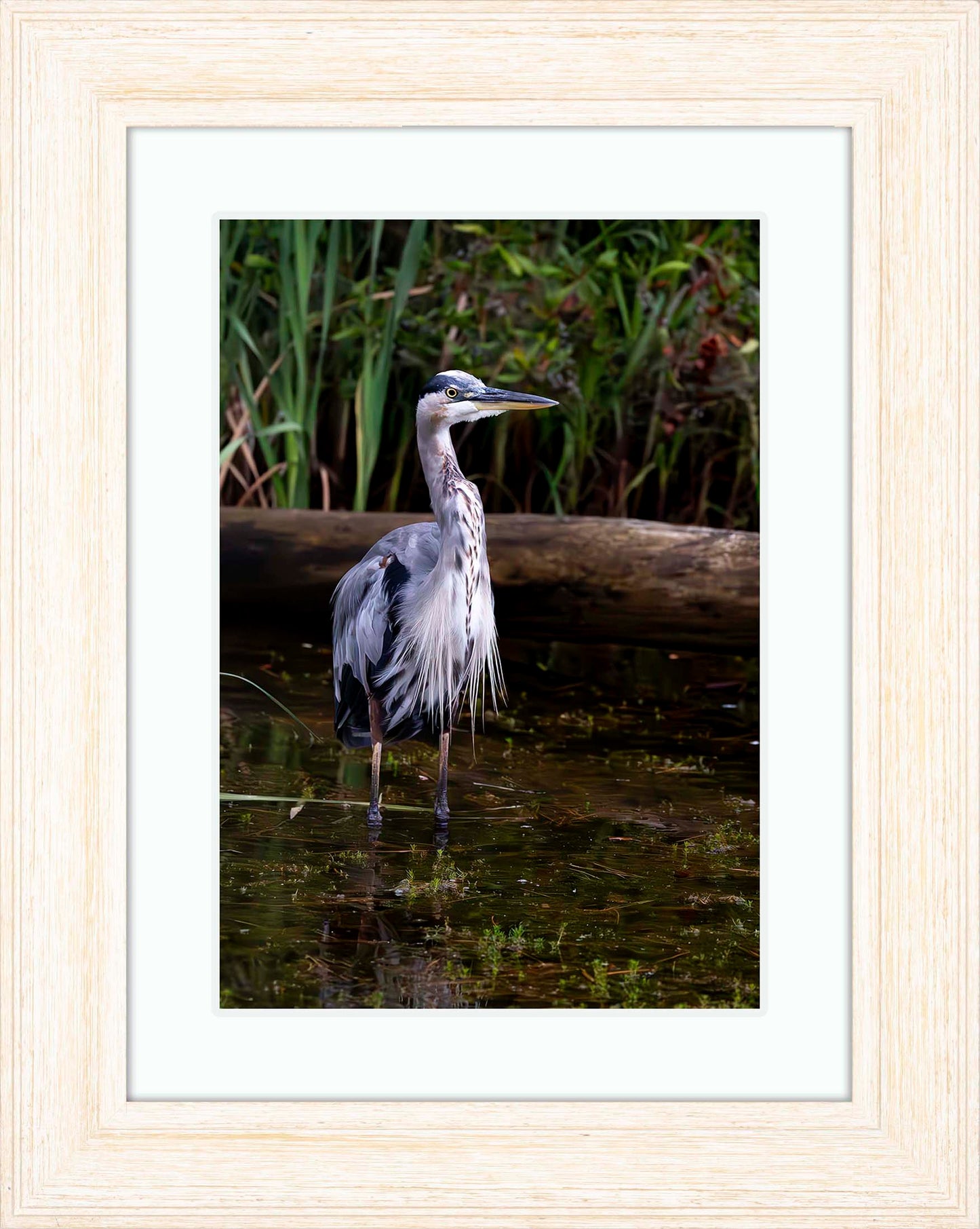 Short Stuff (Portrait) -- Digital Print