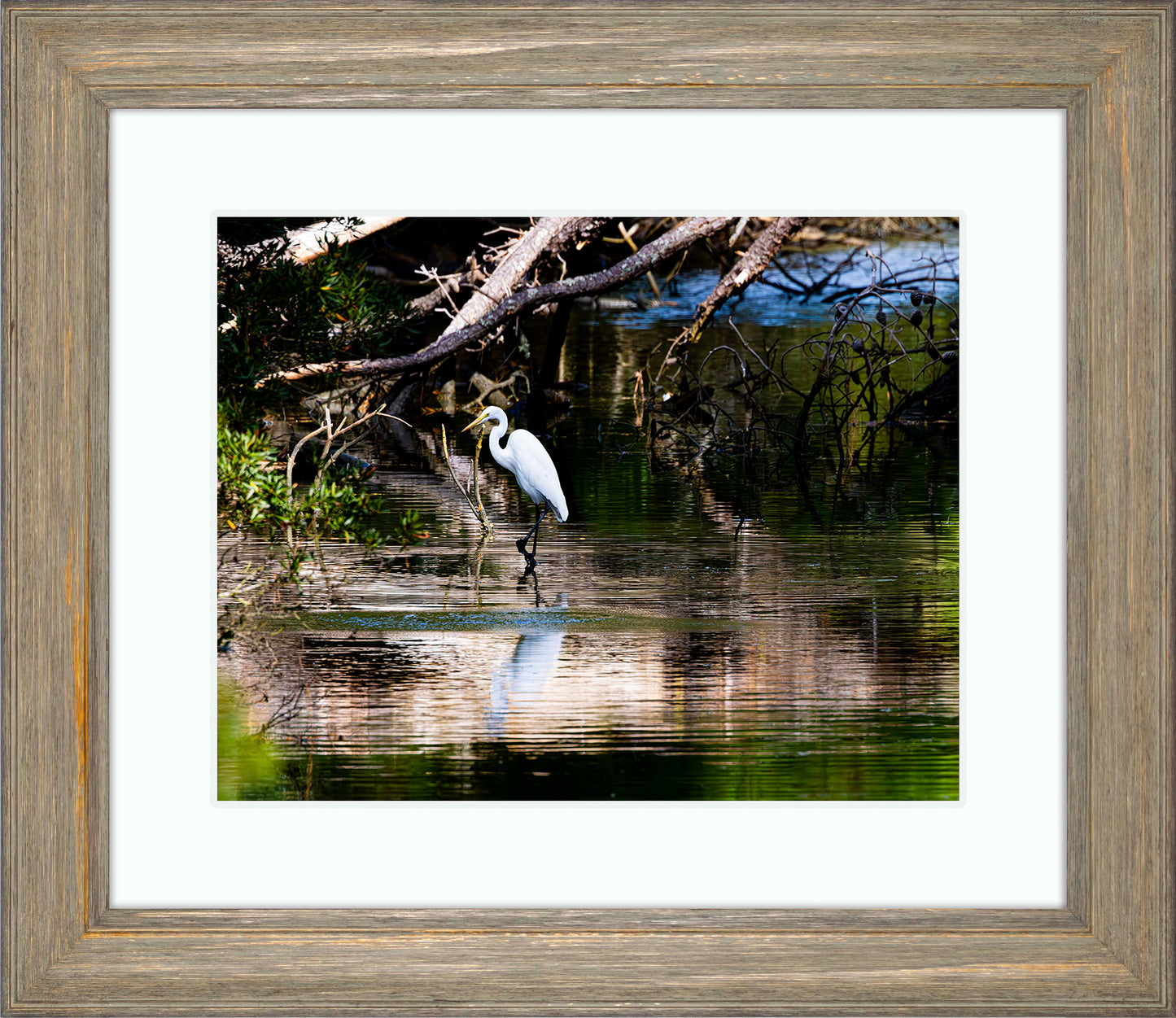 Solitude -- Digital Print