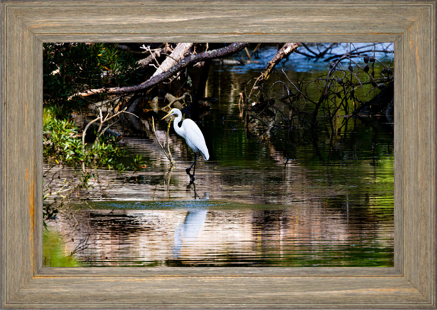 Solitude -- Digital Print