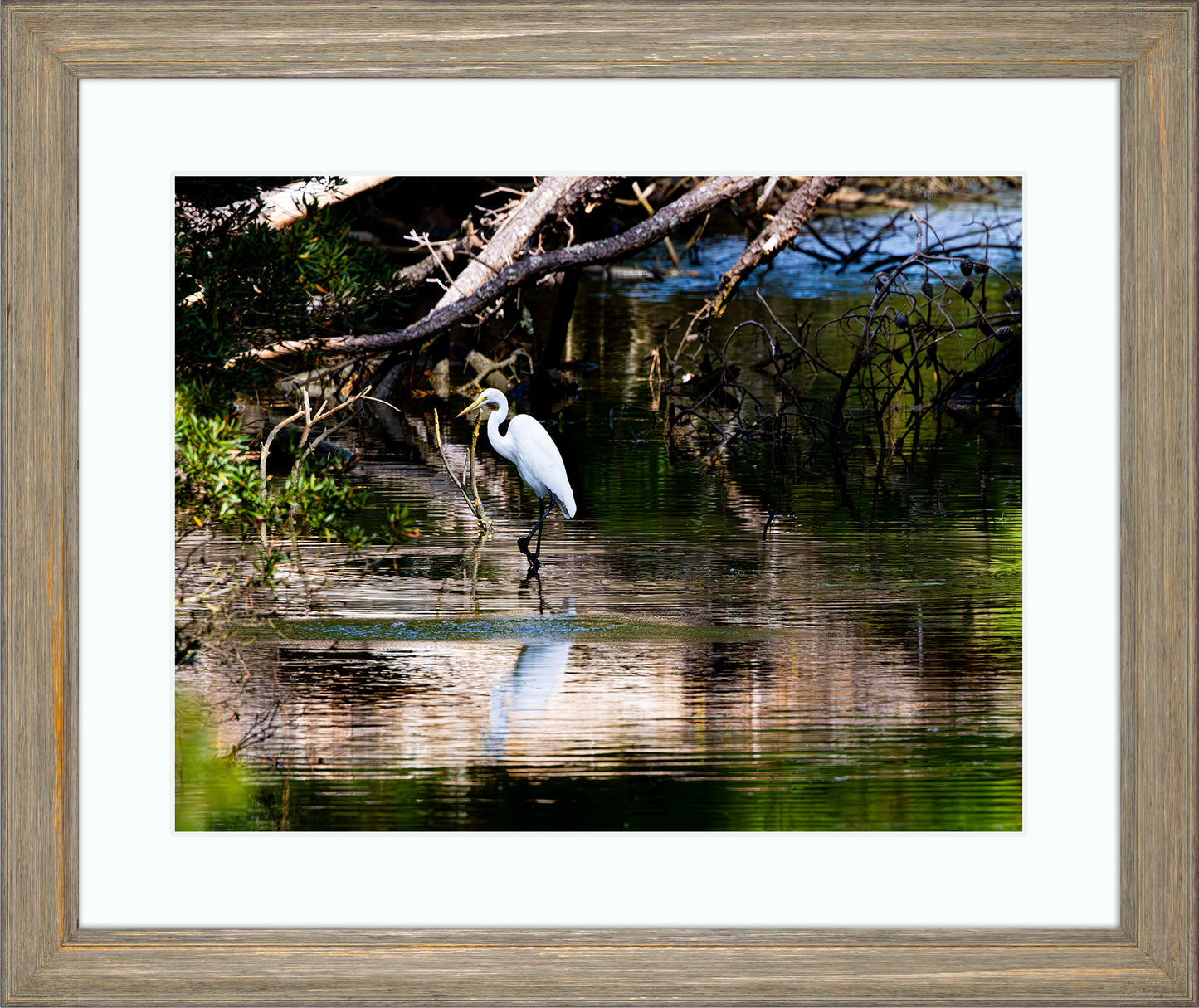 Solitude -- Digital Print