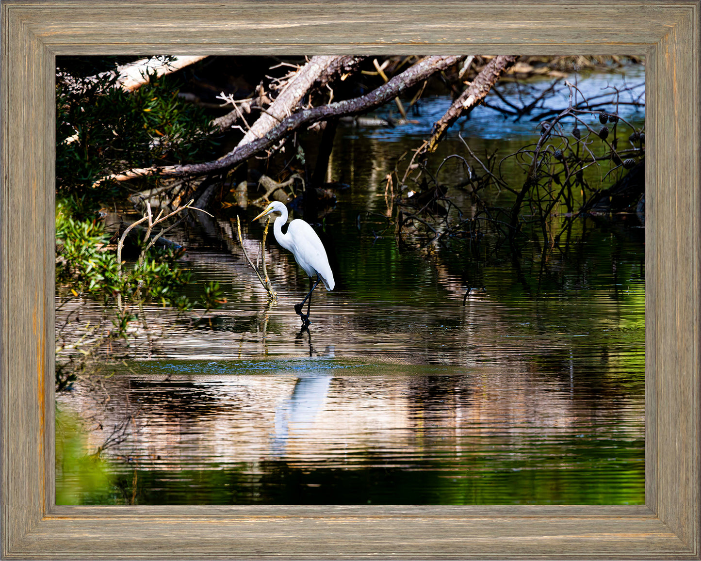Solitude -- Digital Print