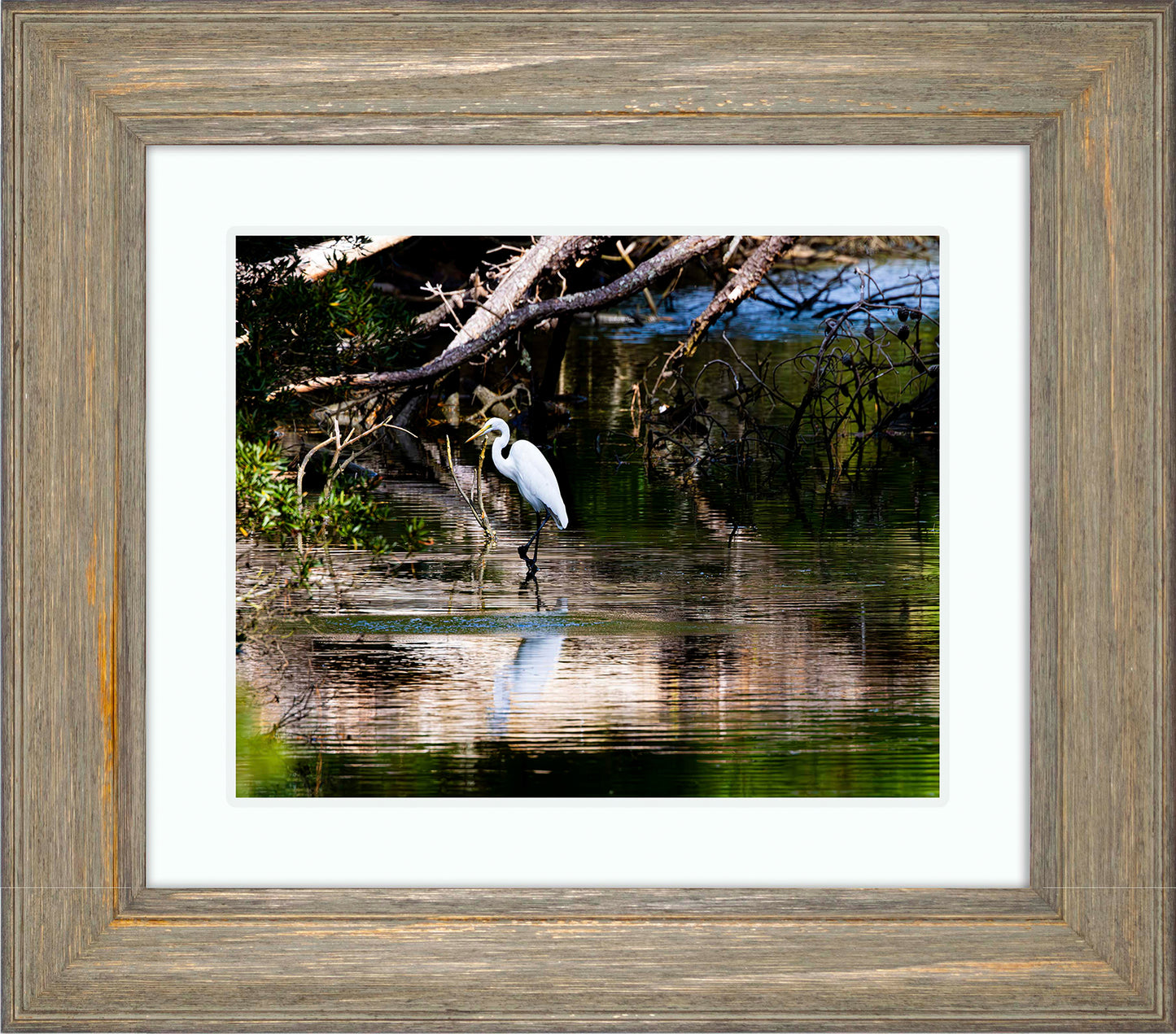 Solitude -- Digital Print