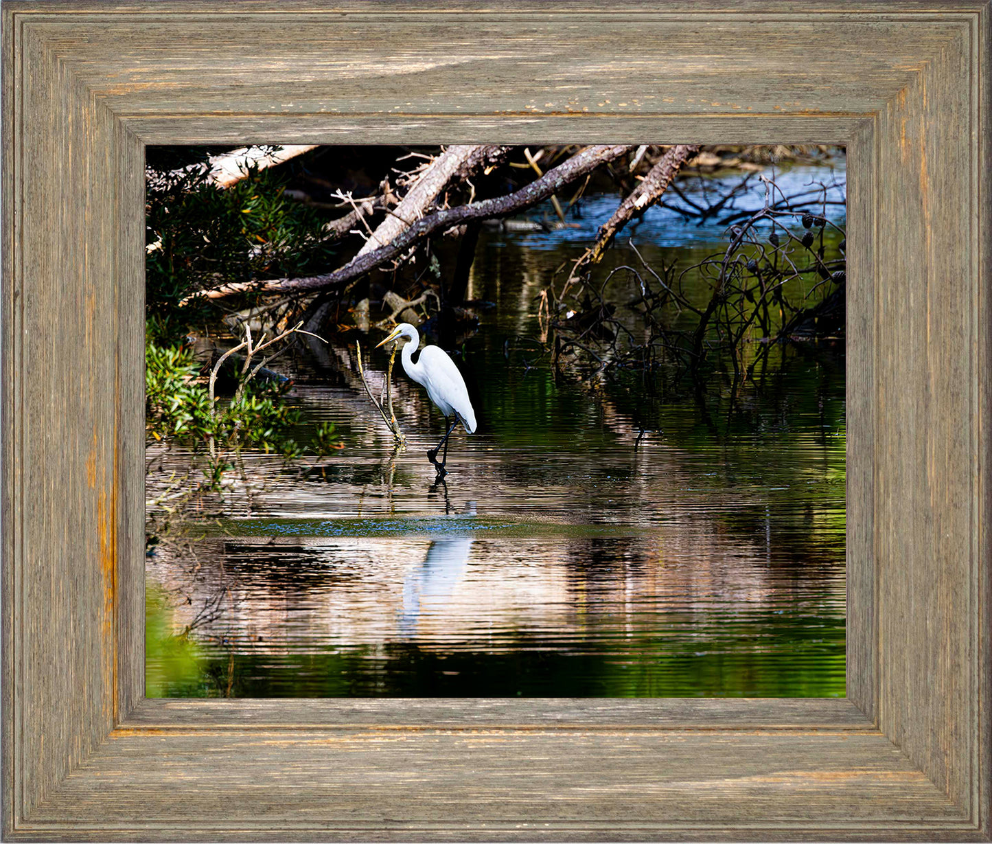 Solitude -- Digital Print