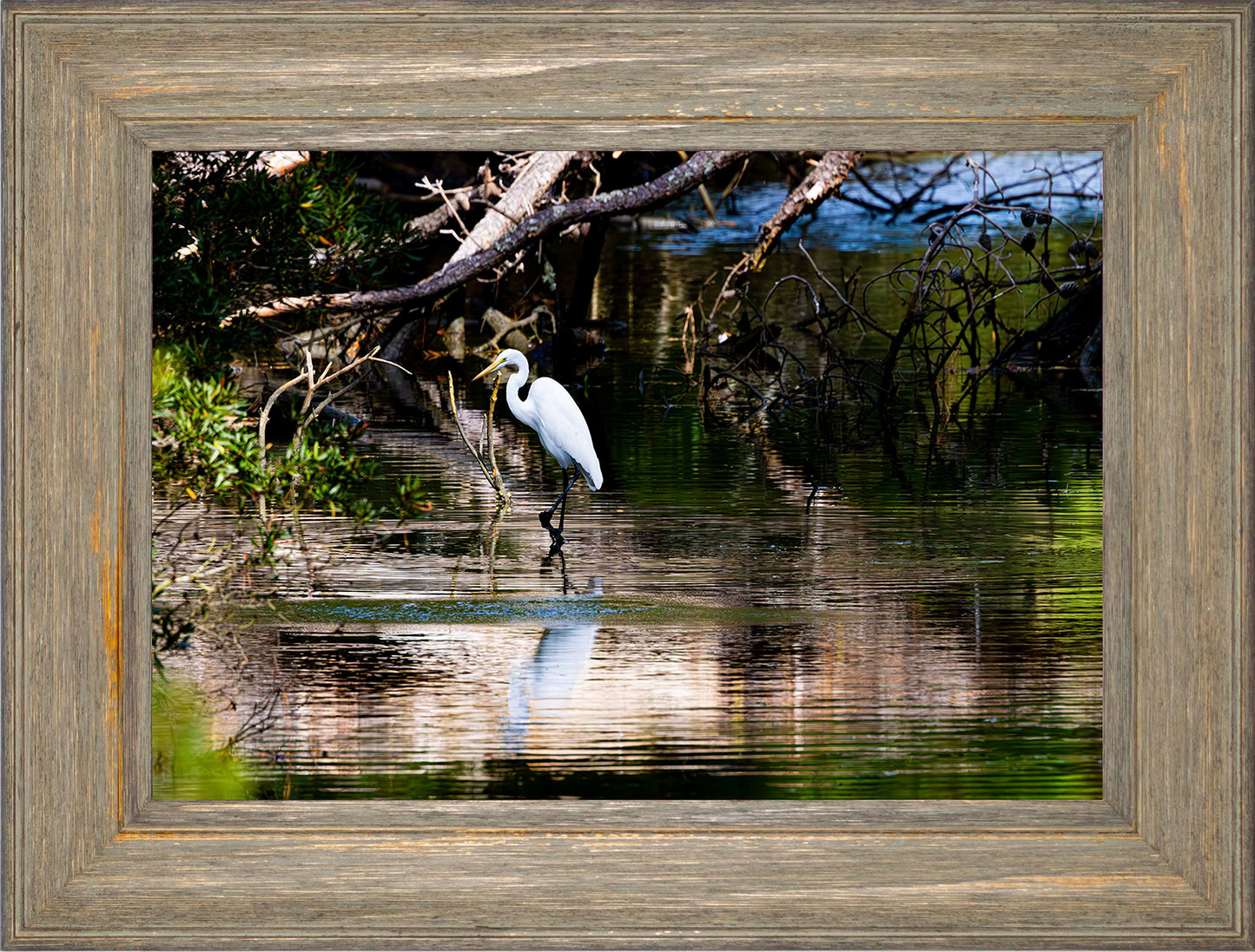 Solitude -- Digital Print