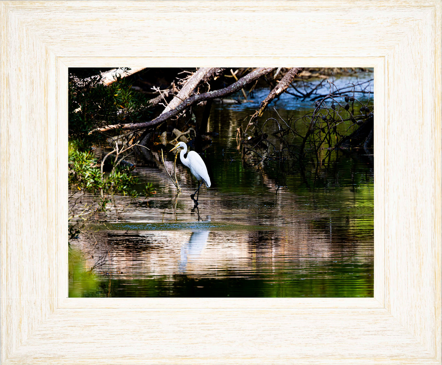 Solitude -- Digital Print