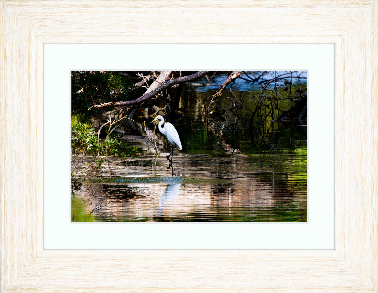 Solitude -- Digital Print