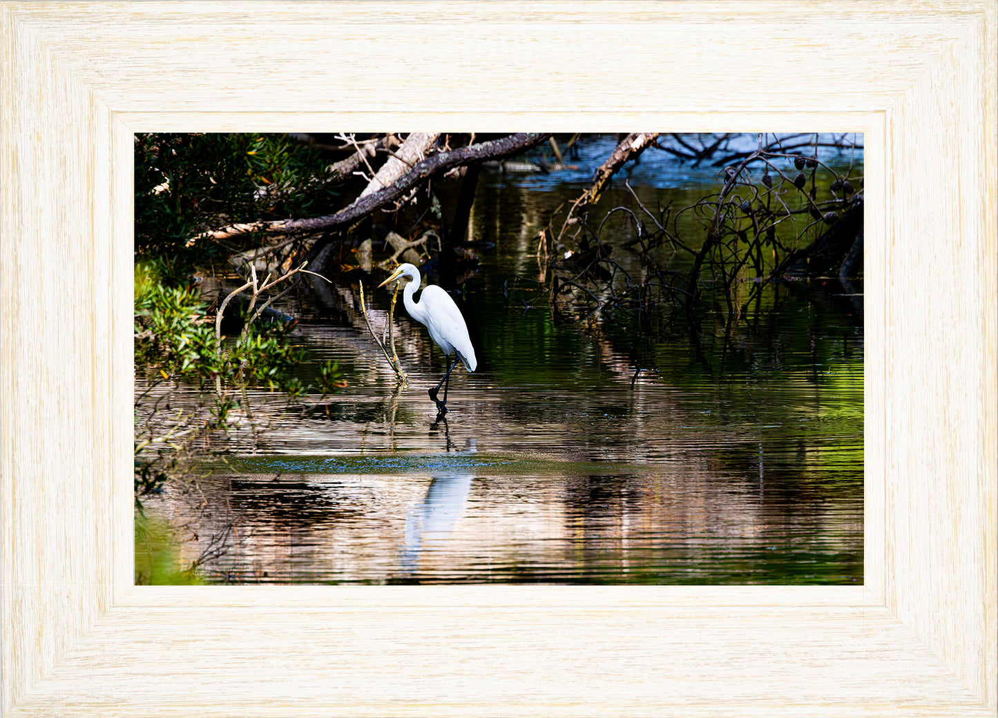 Solitude -- Digital Print