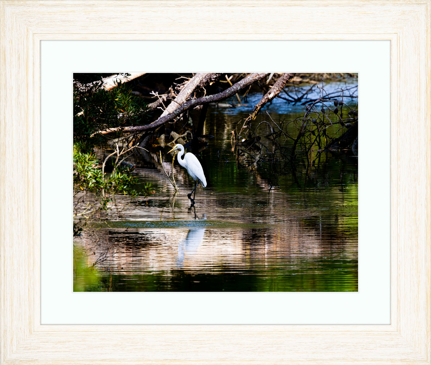 Solitude -- Digital Print